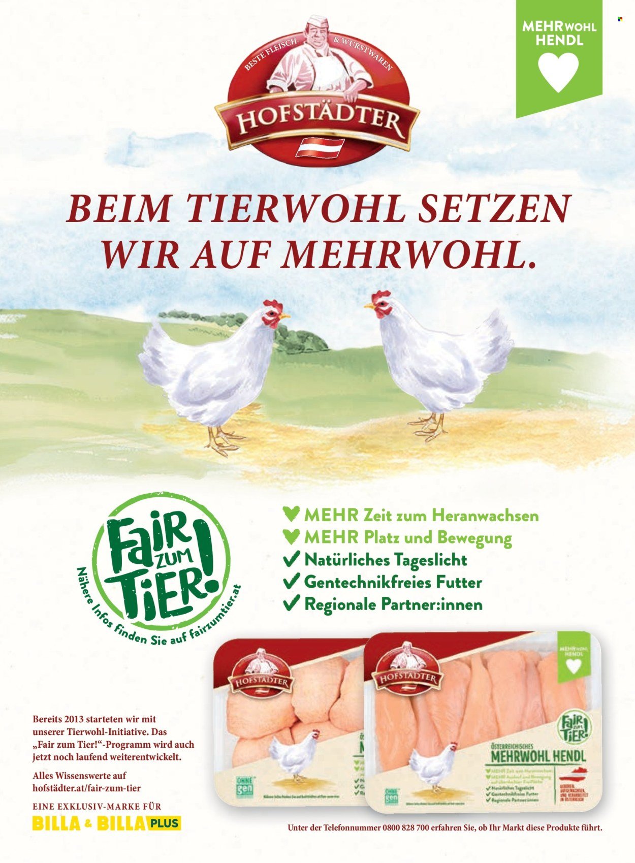 BILLA Flugblatt - Oktober 2025 (2025-09-30)