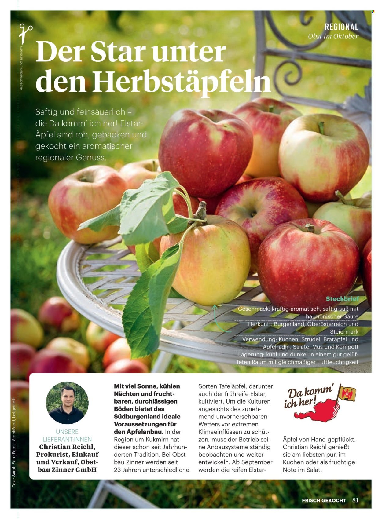 BILLA Flugblatt - Oktober 2025 (2025-09-30)