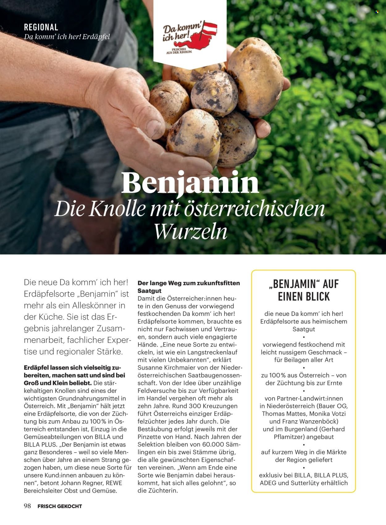 BILLA Flugblatt - Oktober 2025 (2025-09-30)