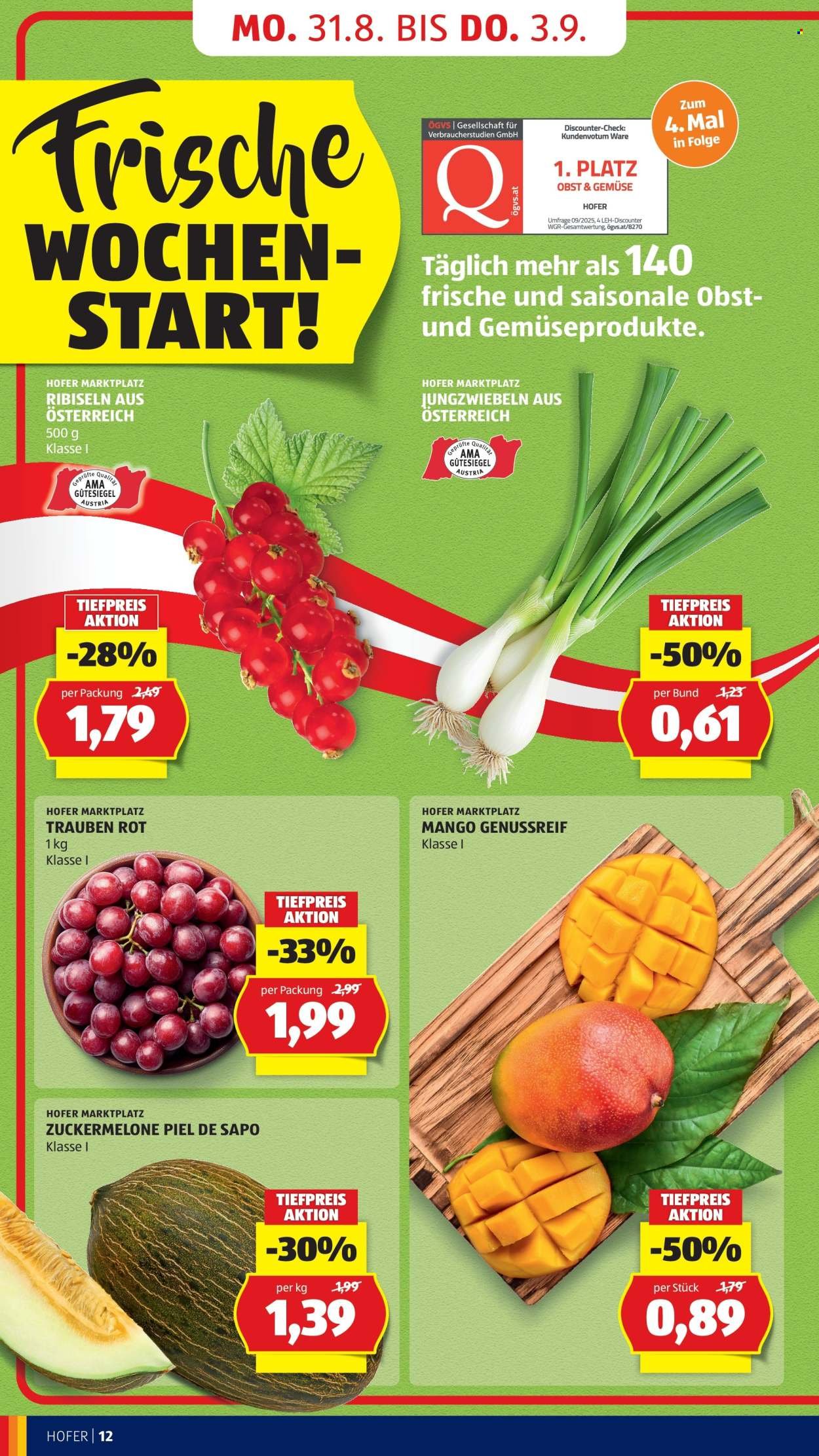 HOFER Flugblatt - Ab Freitag, 28.8.2026
