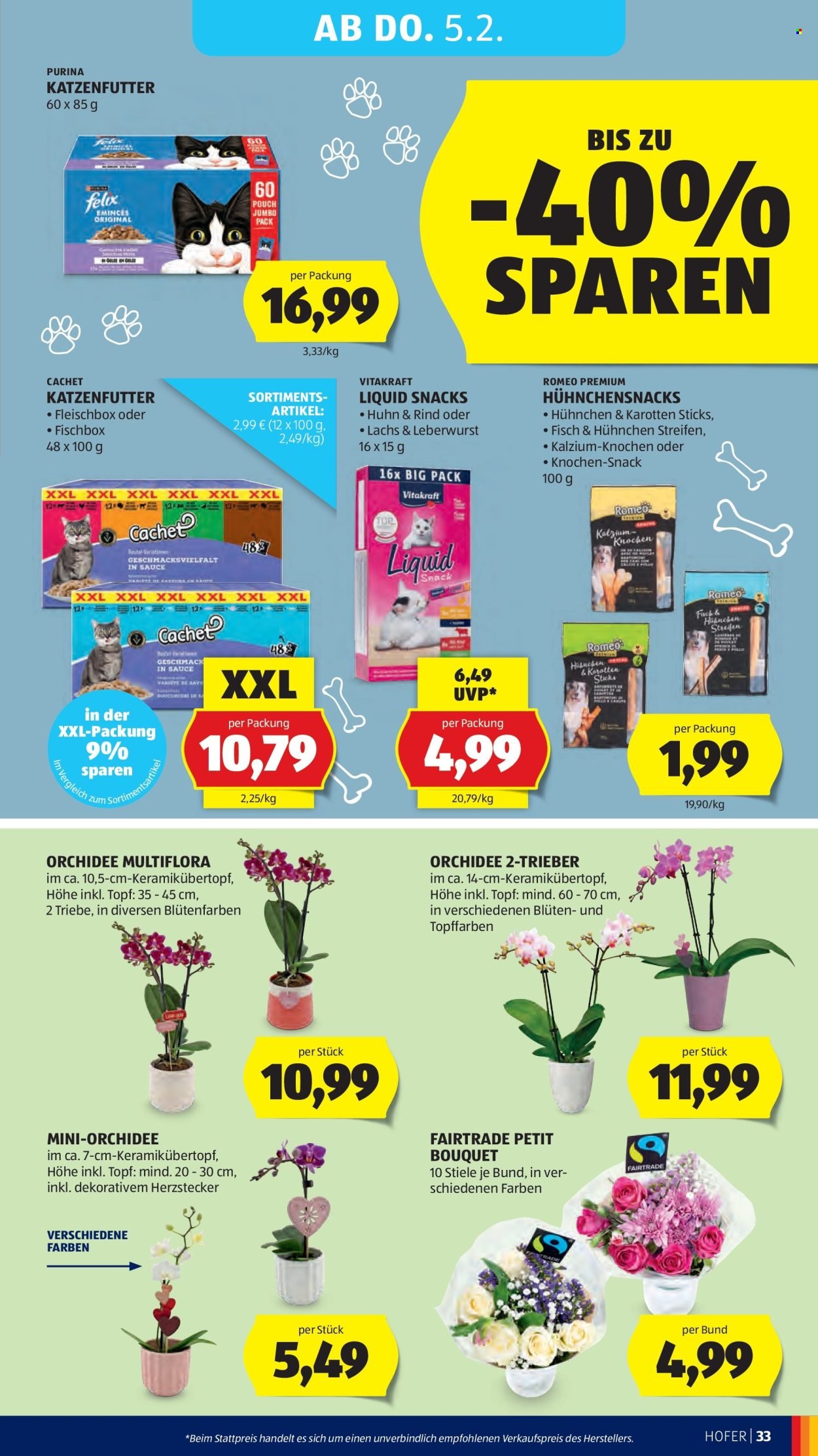 HOFER Flugblatt - Ab Freitag, 30.1.2026