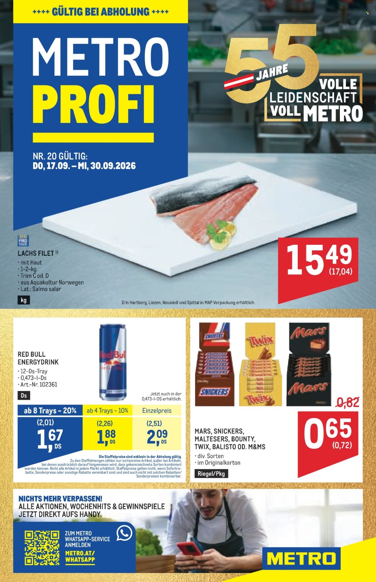 METRO Flugblatt - Profi