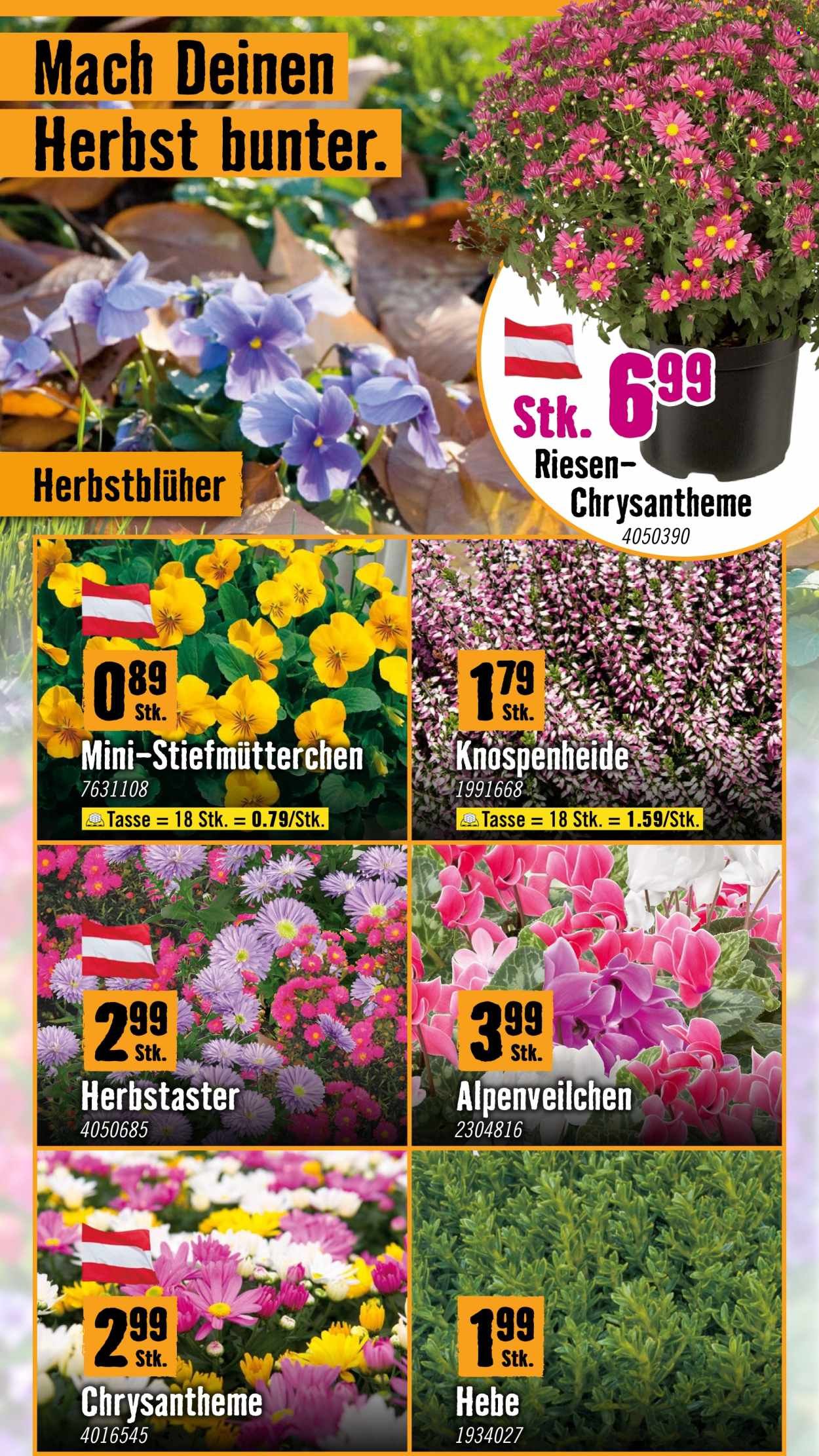 HORNBACH Flugblatt - Aus Taten werden Räume. (2025-10-06 - 2025-10-29)