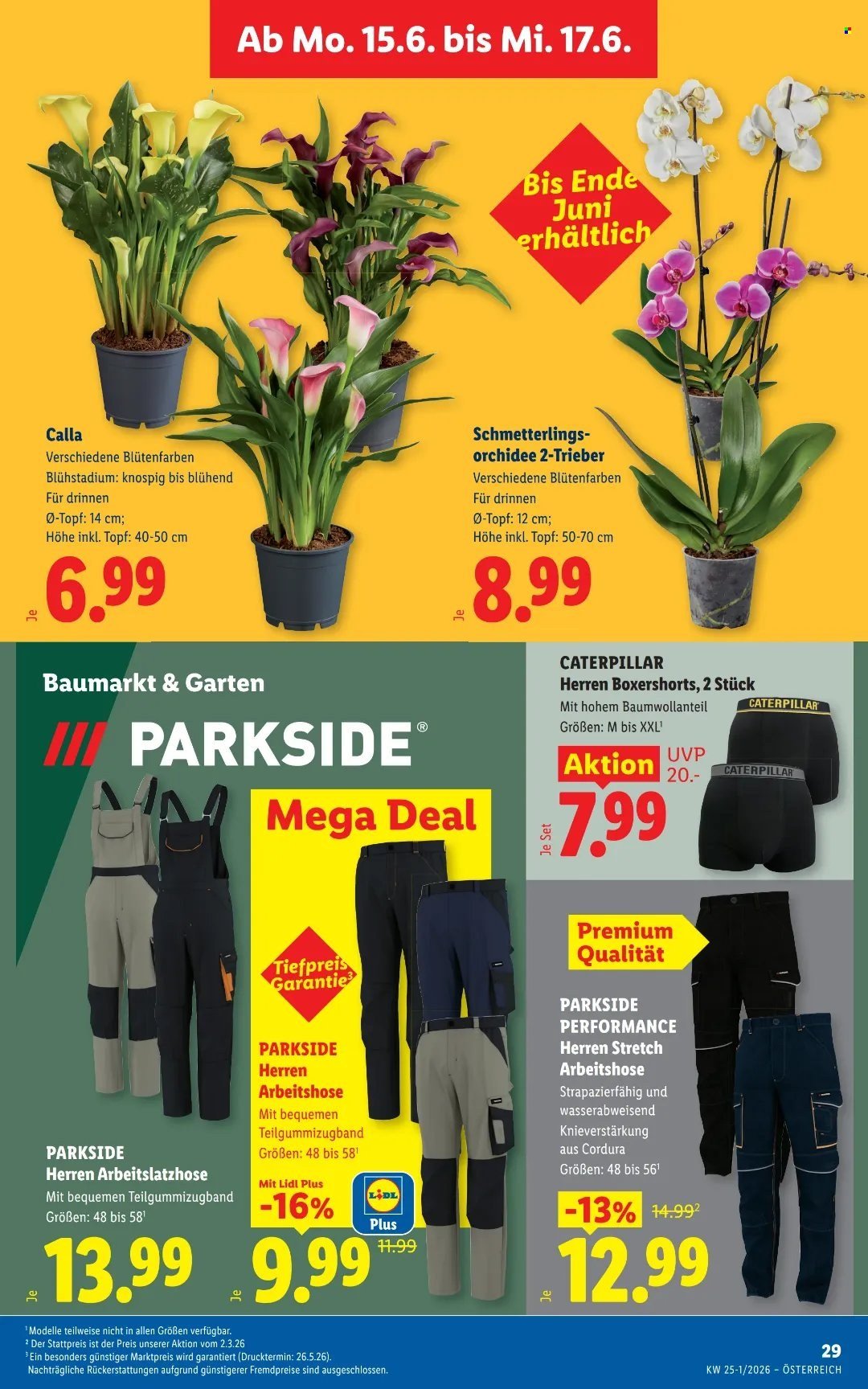 LIDL Flugblatt - Ab Donnerstag, 11.6.2026