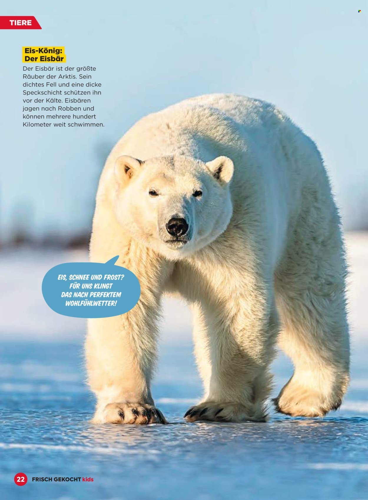 BILLA Flugblatt - November 2025