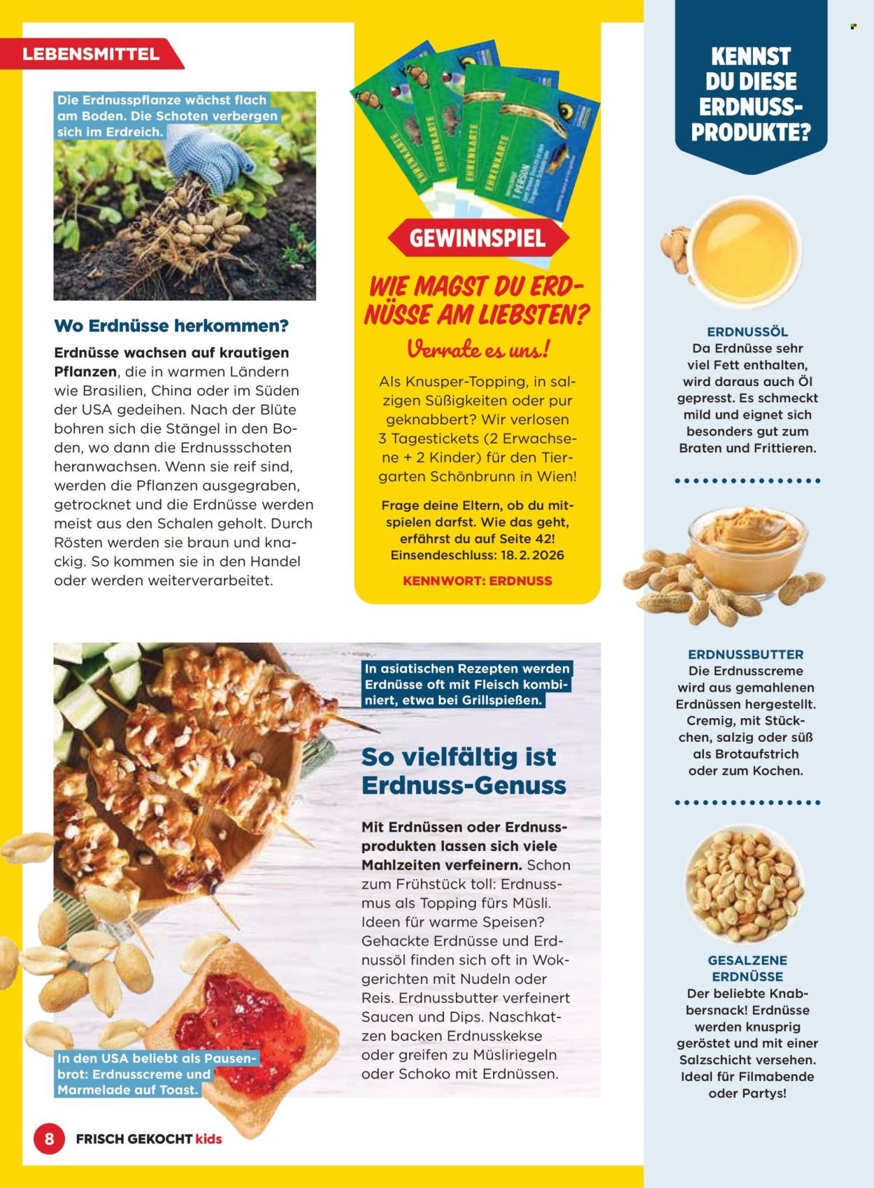 BILLA Flugblatt - November 2025