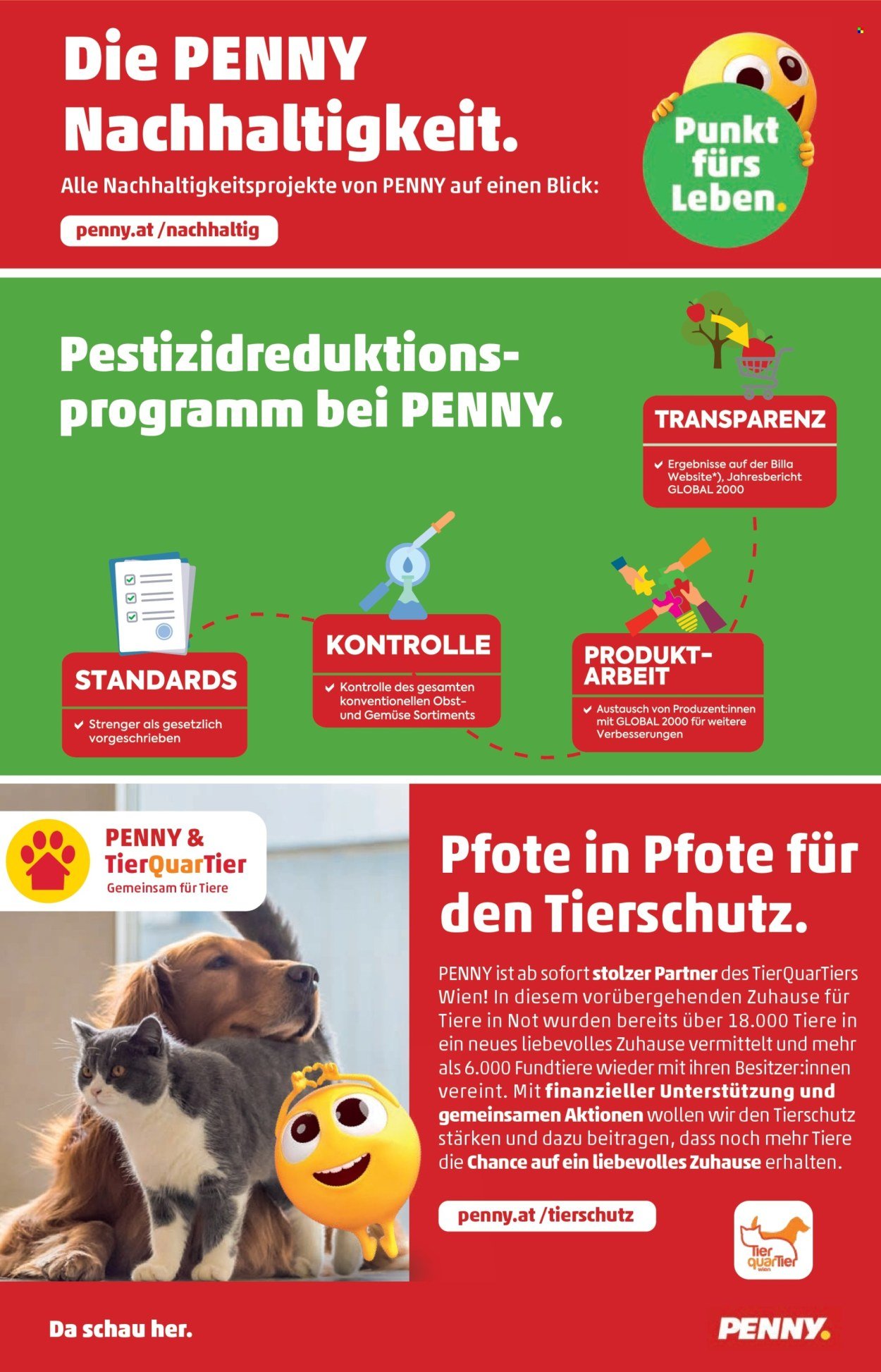 PENNY Flugblatt - Ab Donnerstag, 22.10.2026
