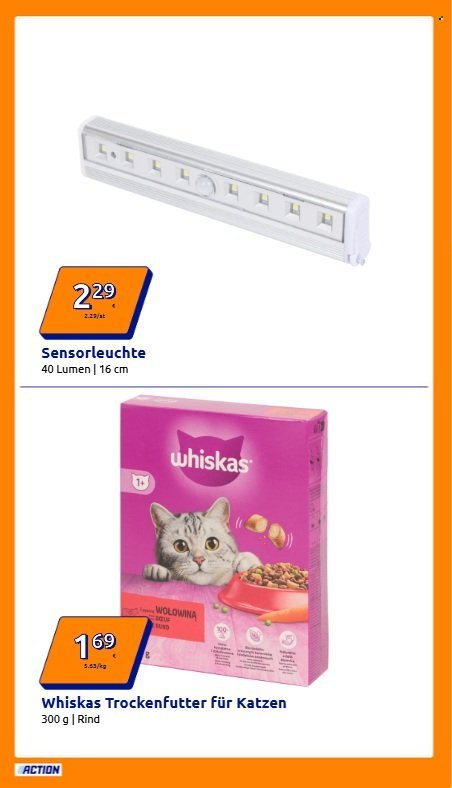 ACTION Flugblatt - Ab Mittwoch, 11.2.2026