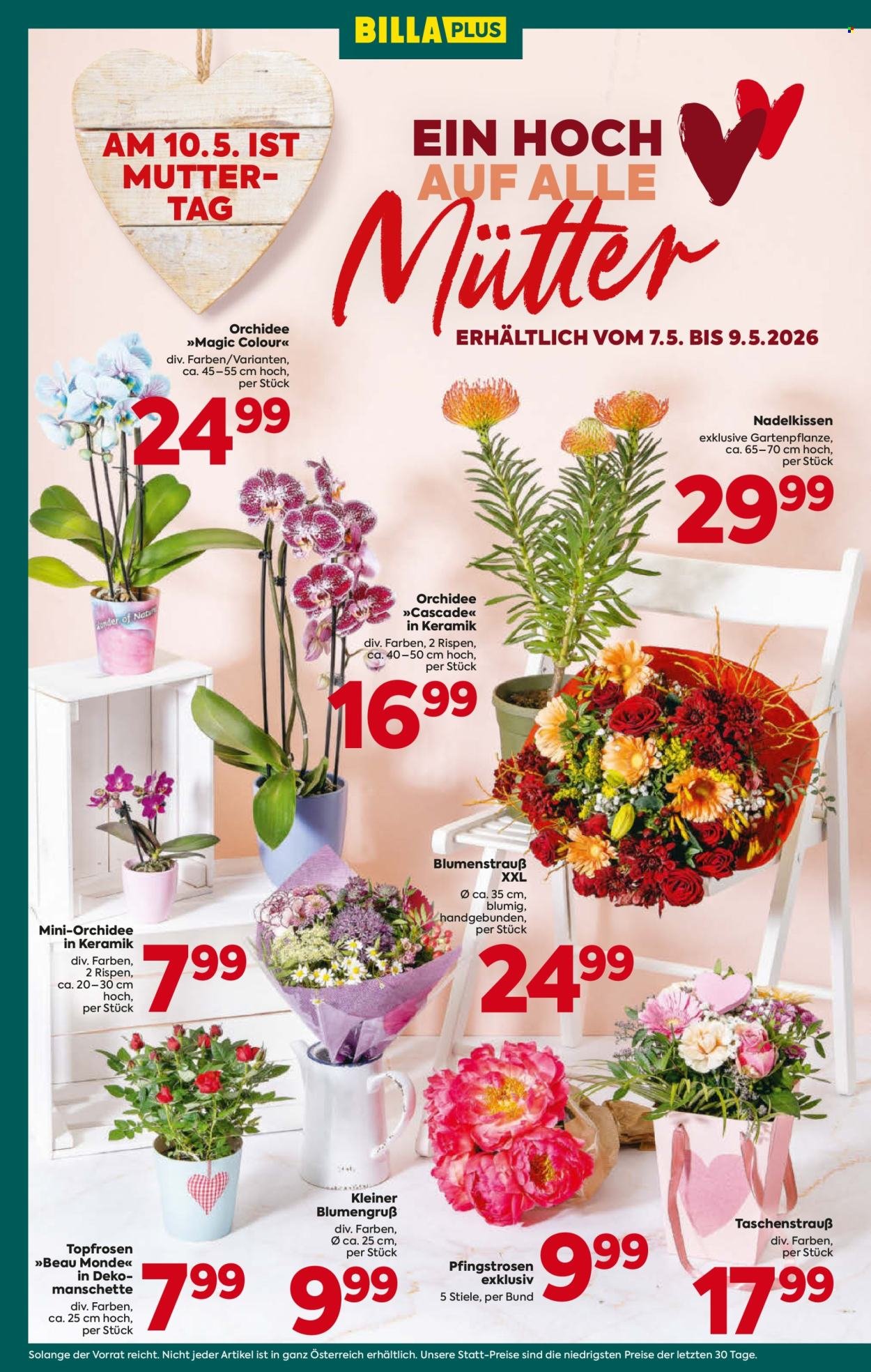 BILLA PLUS Flugblatt - Ab Donnerstag, 7.5.2026