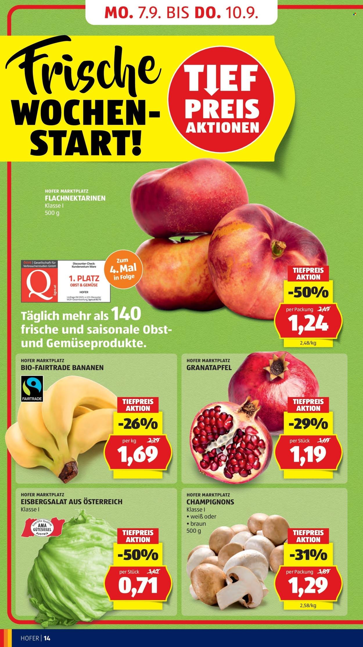 HOFER Flugblatt - Ab Freitag, 4.9.2026