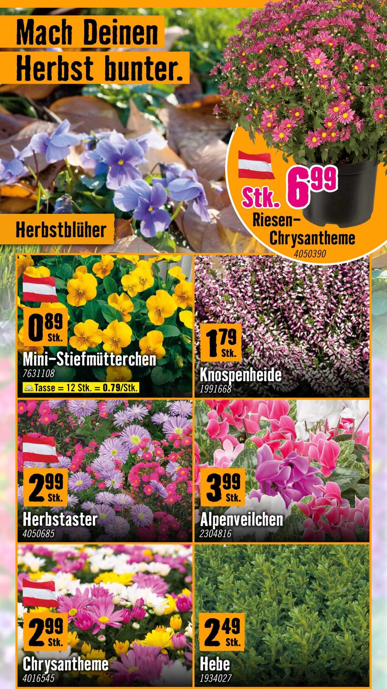 HORNBACH Flugblatt - Ab Montag, 12.10.2026