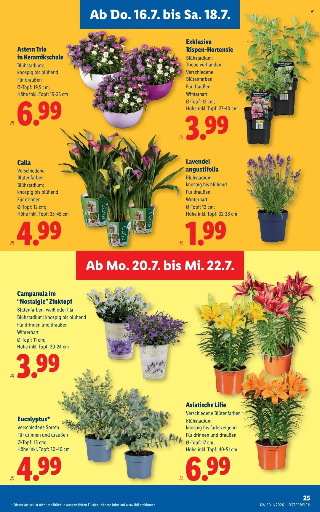 LIDL Flugblatt - Ab Donnerstag, 16.7.2026