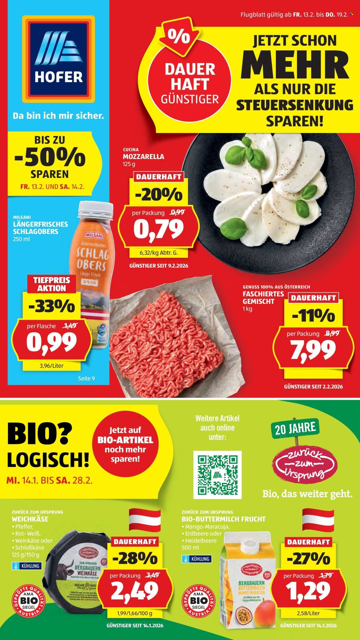 HOFER Flugblatt - Ab Freitag, 13.2.2026