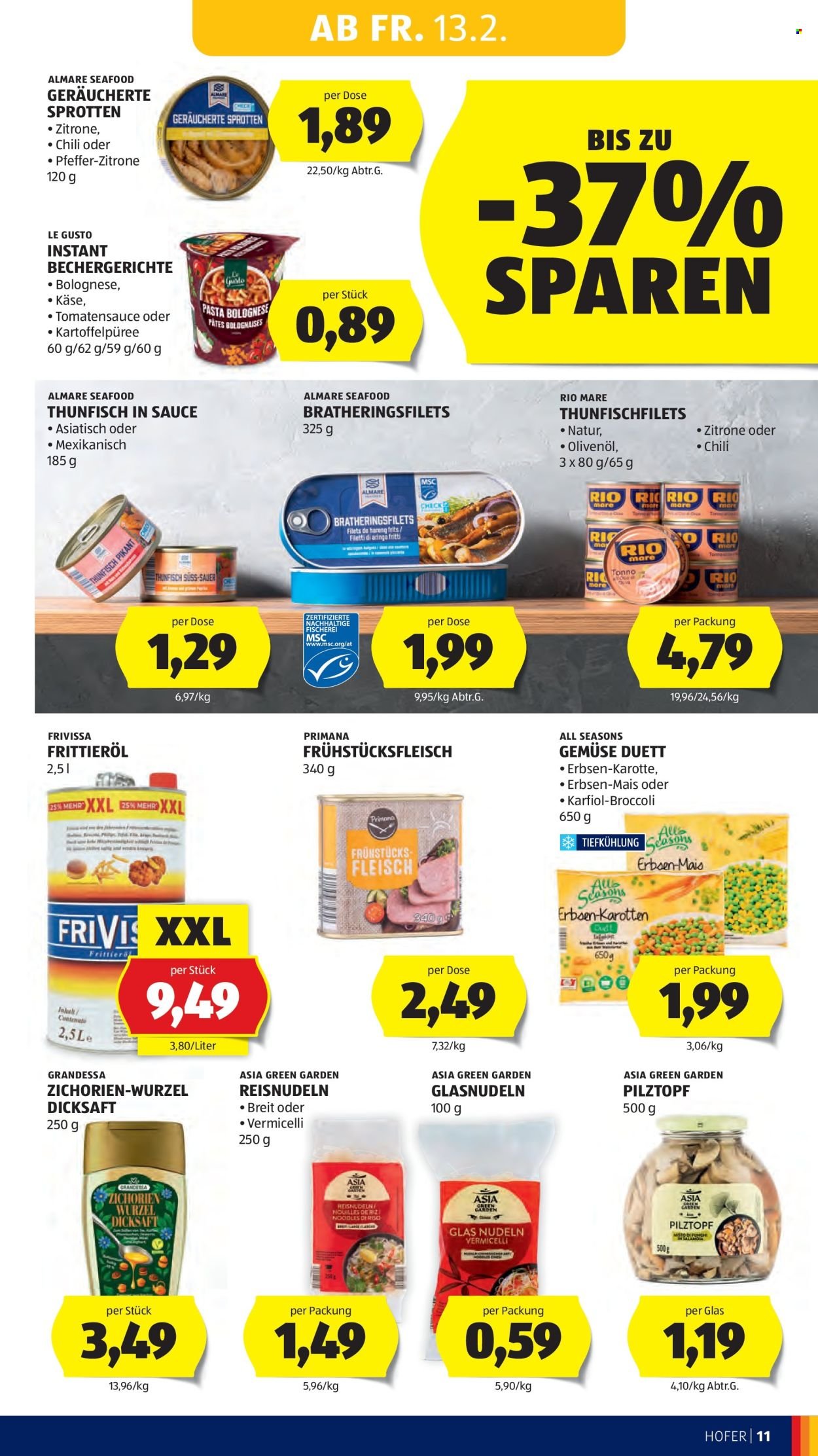 HOFER Flugblatt - Ab Freitag, 13.2.2026