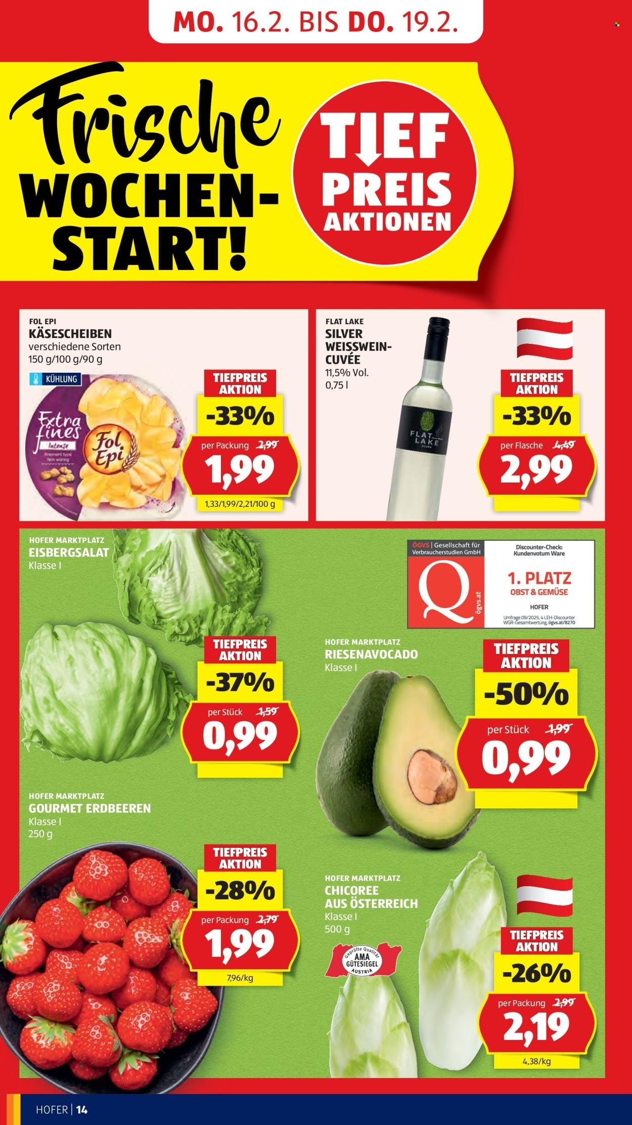 HOFER Flugblatt - Ab Freitag, 13.2.2026