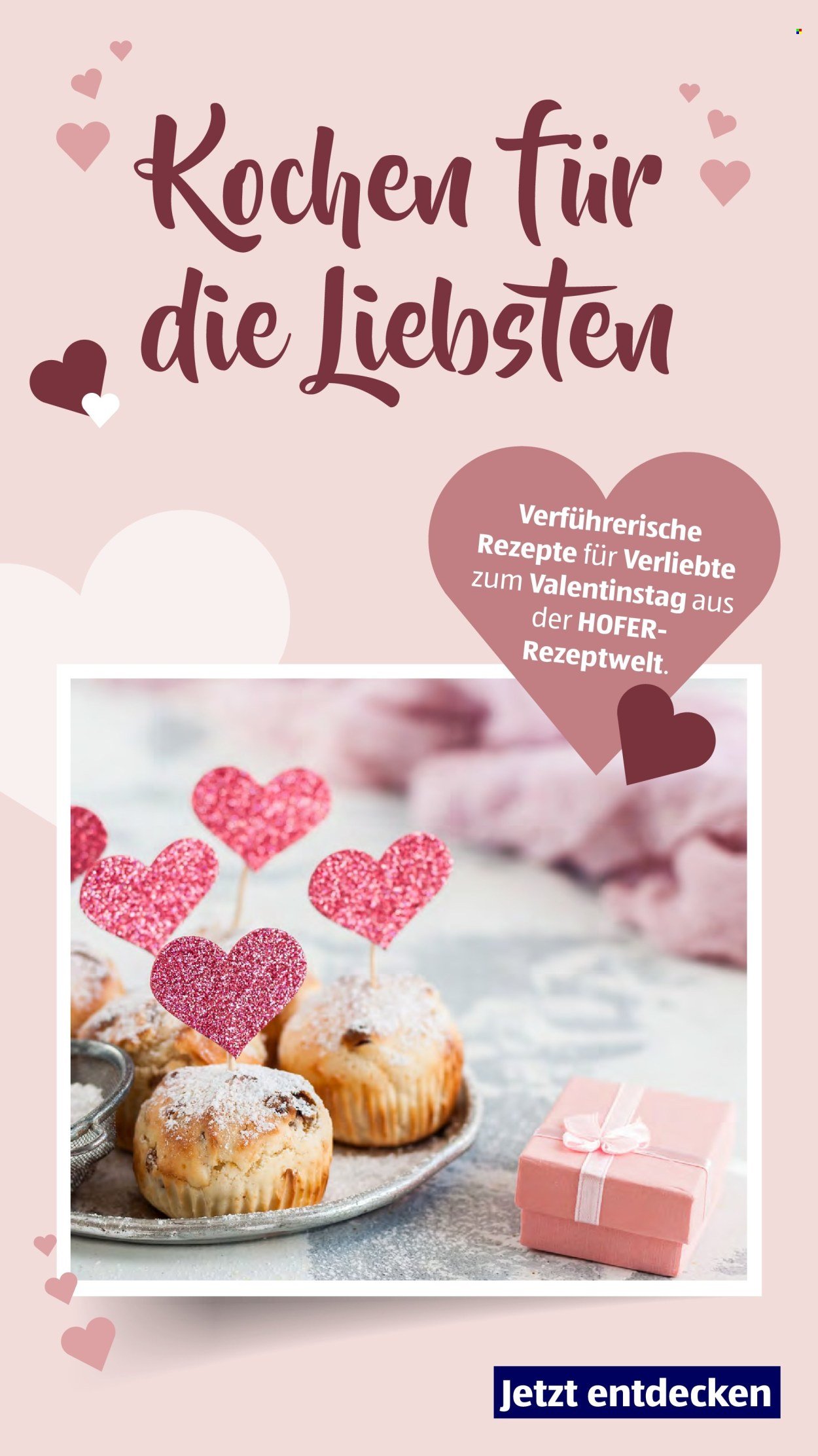 HOFER Flugblatt - Ab Freitag, 13.2.2026