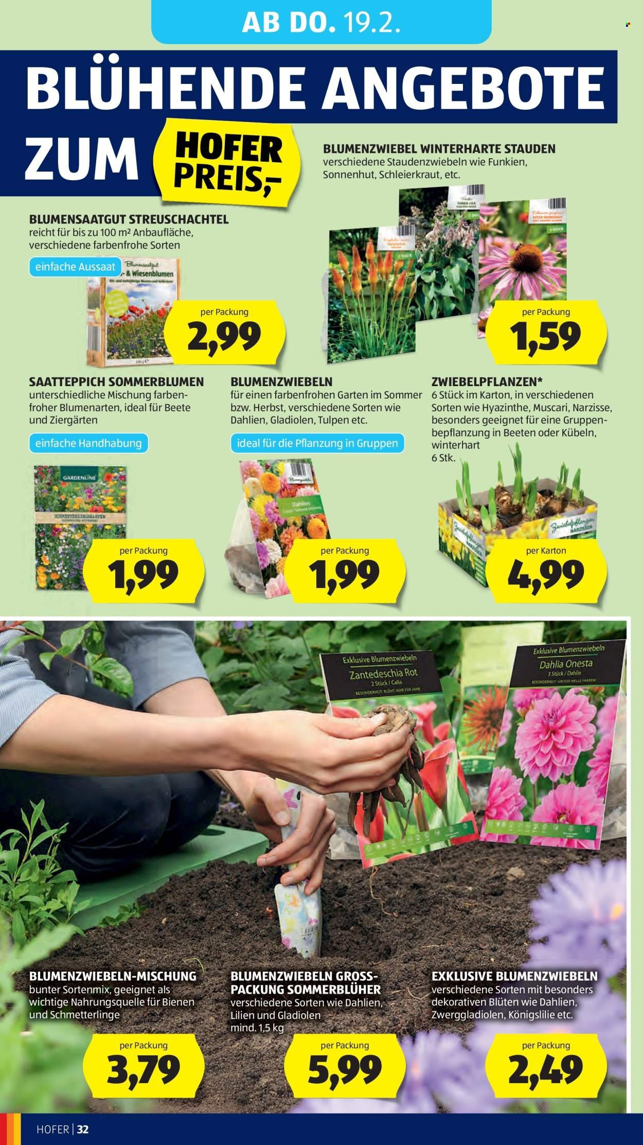 HOFER Flugblatt - Ab Freitag, 13.2.2026