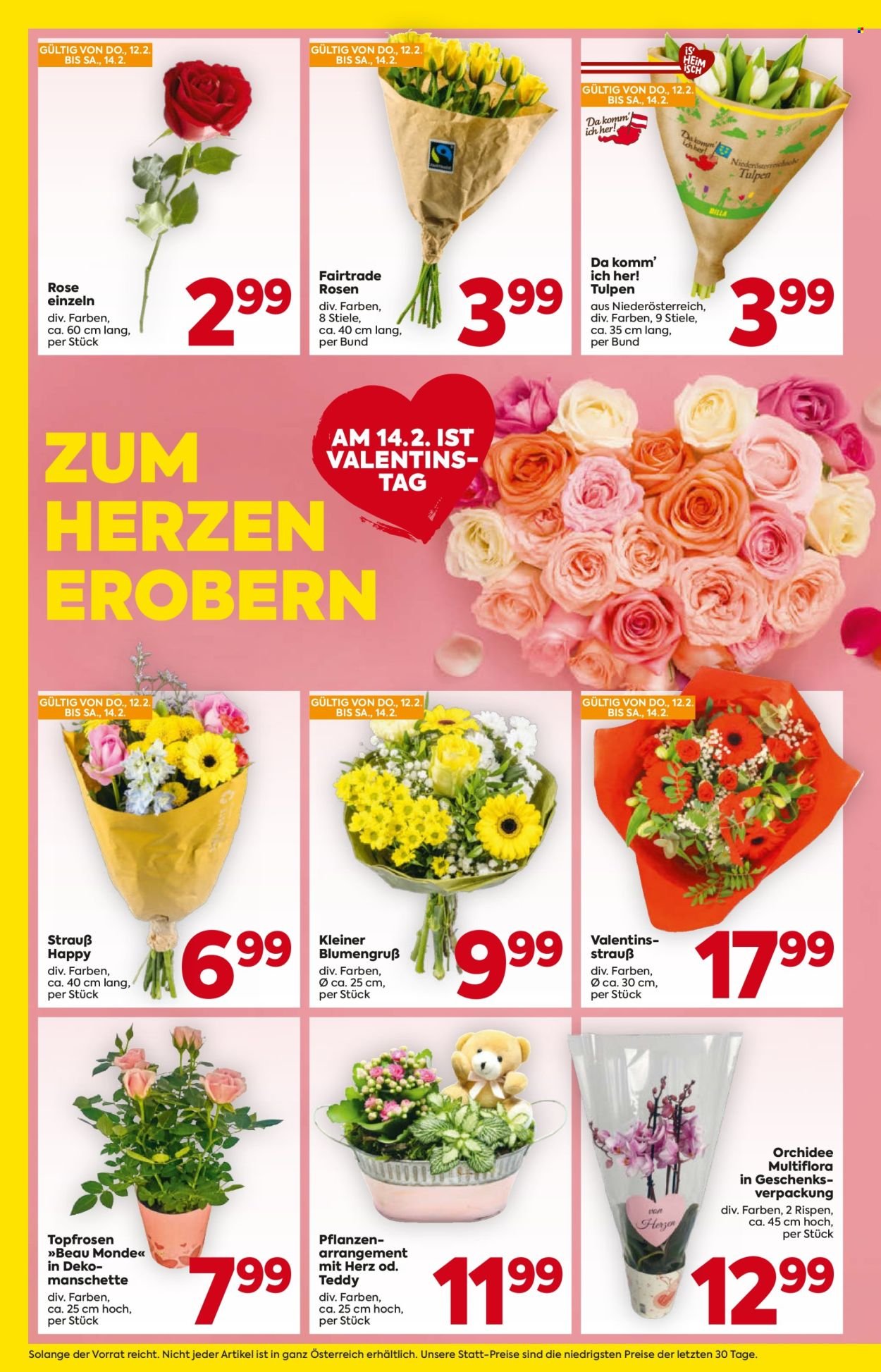 BILLA Flugblatt - Ab Donnerstag, 12.2.2026