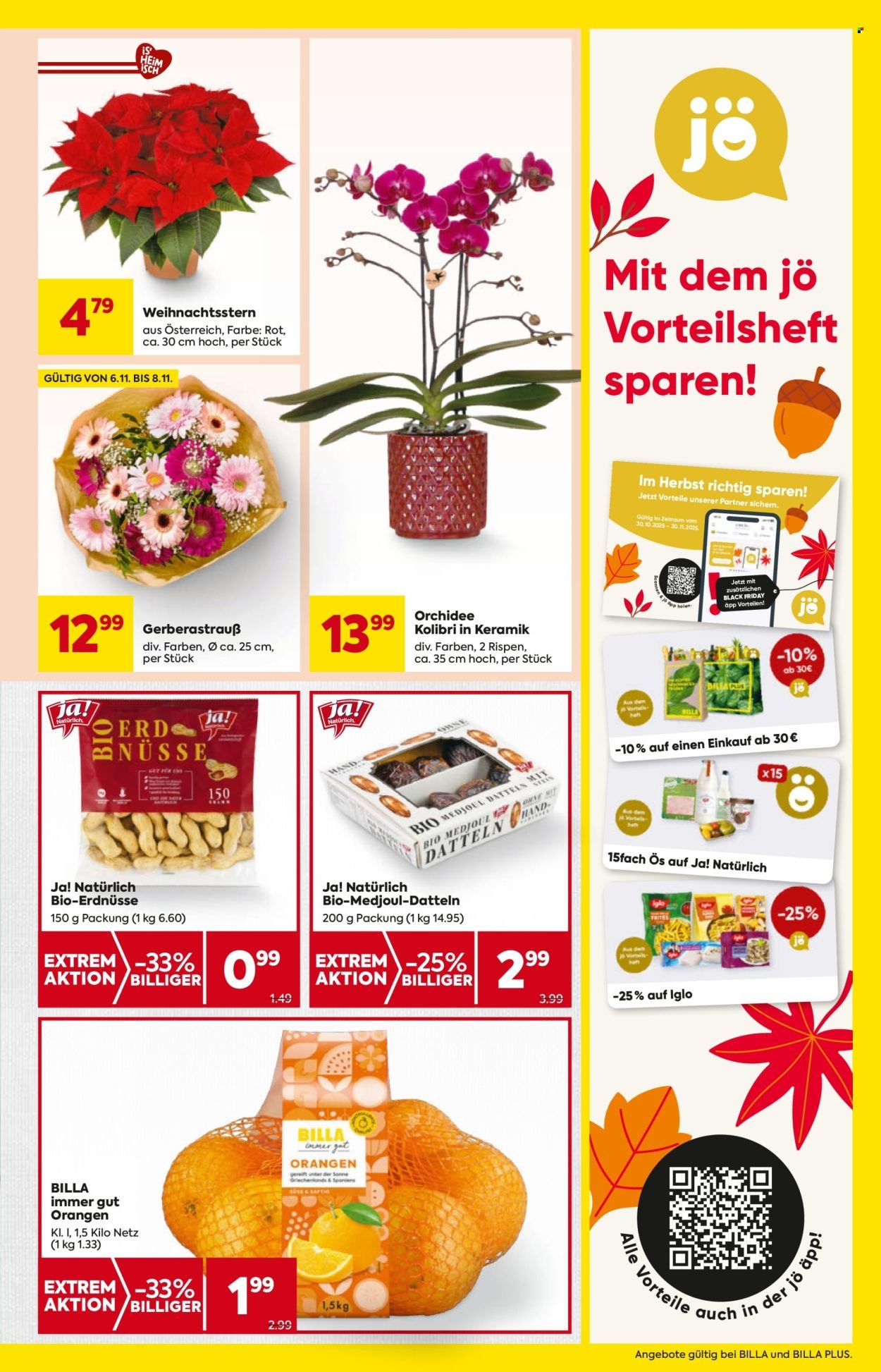 BILLA Flugblatt - Ab Donnerstag, 6.11.2025 (2025-11-06 - 2025-11-12) | 9
