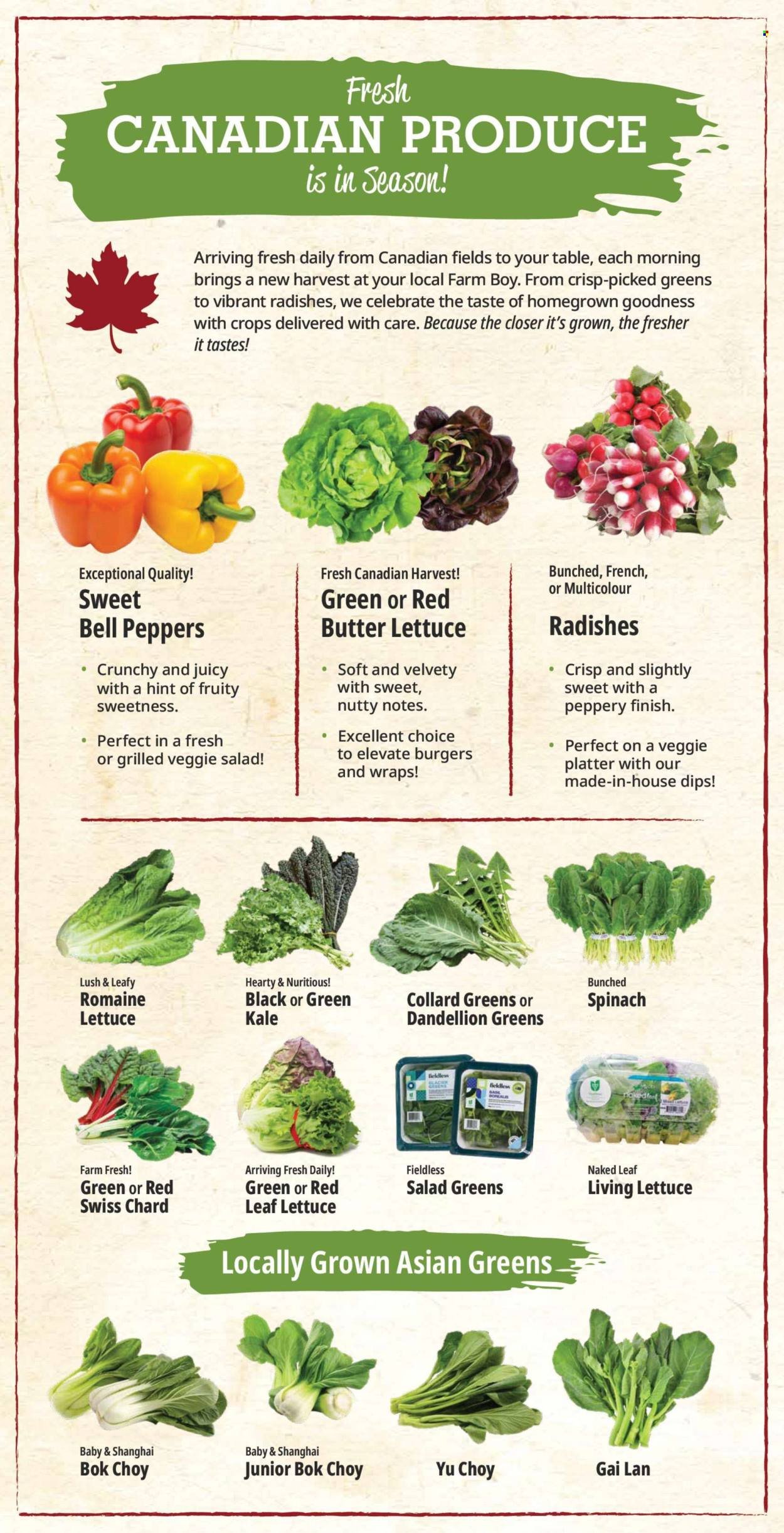 FARM BOY flyer - Weekly Flyer
