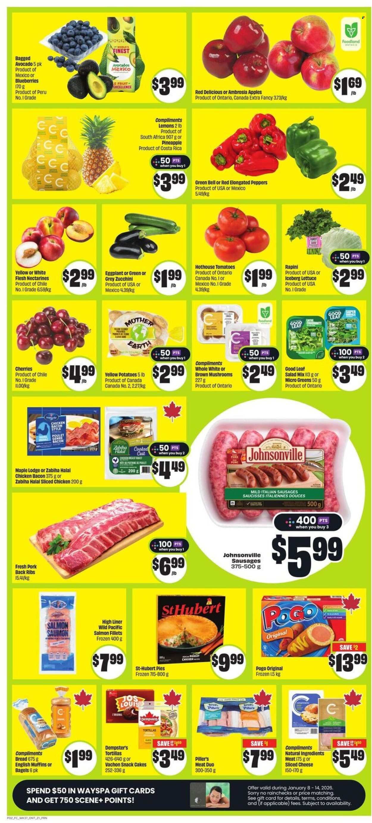 FRESHCO. flyer - Special Promotion