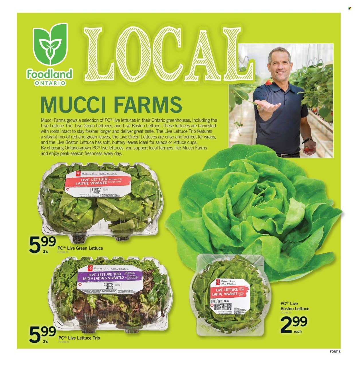 FORTINOS flyer - Weekly Flyer
