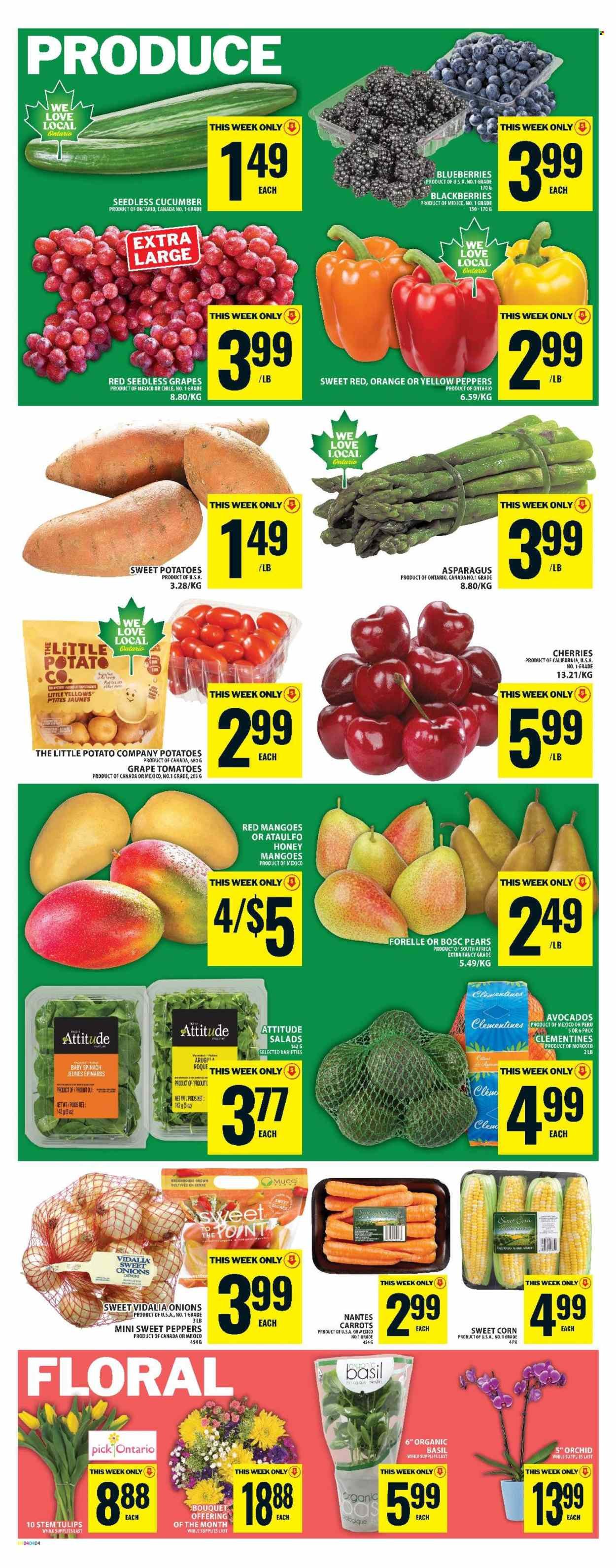 SUPER C flyer - Weekly Flyer