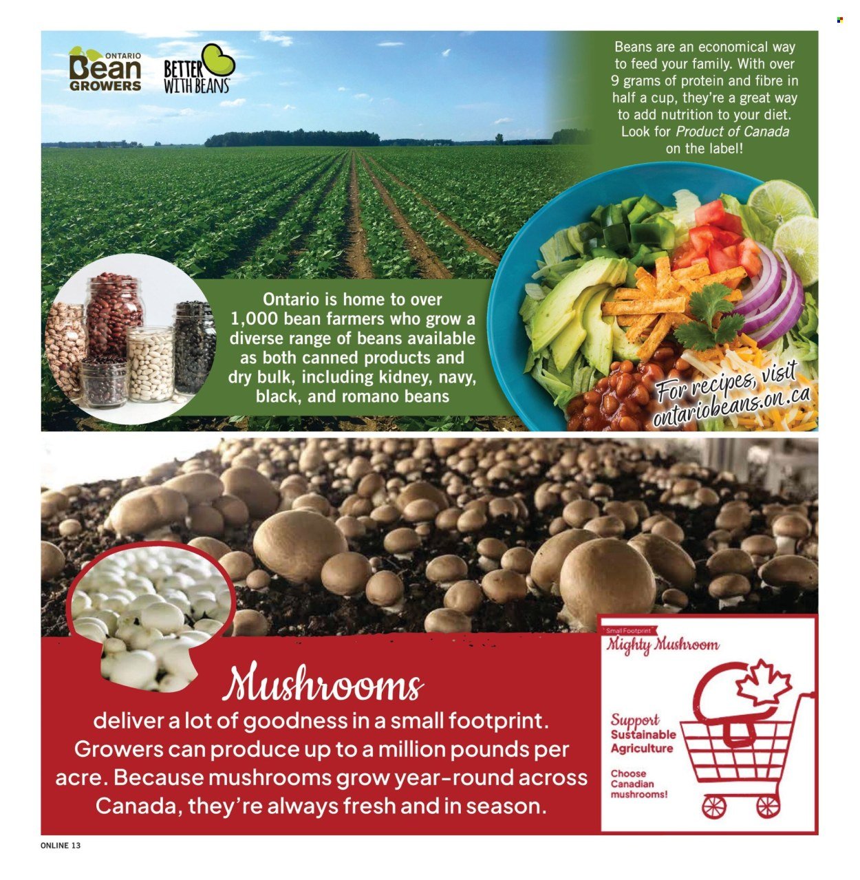FORTINOS flyer - Weekly Flyer