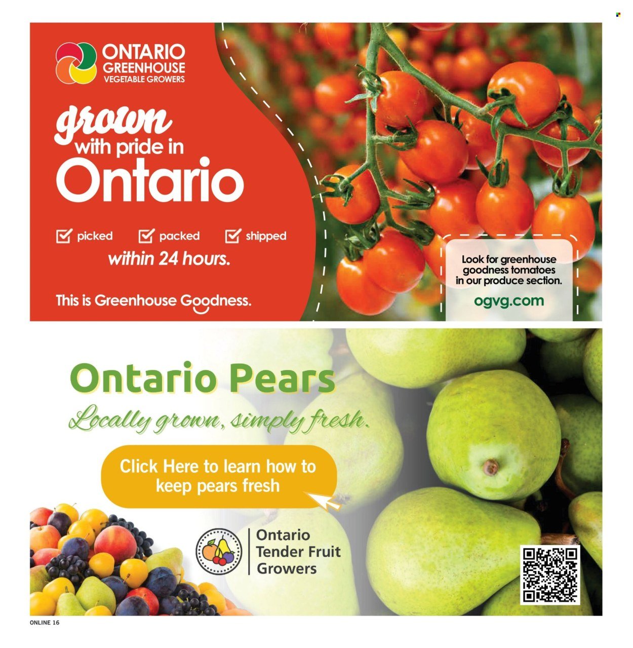 FORTINOS flyer - Weekly Flyer