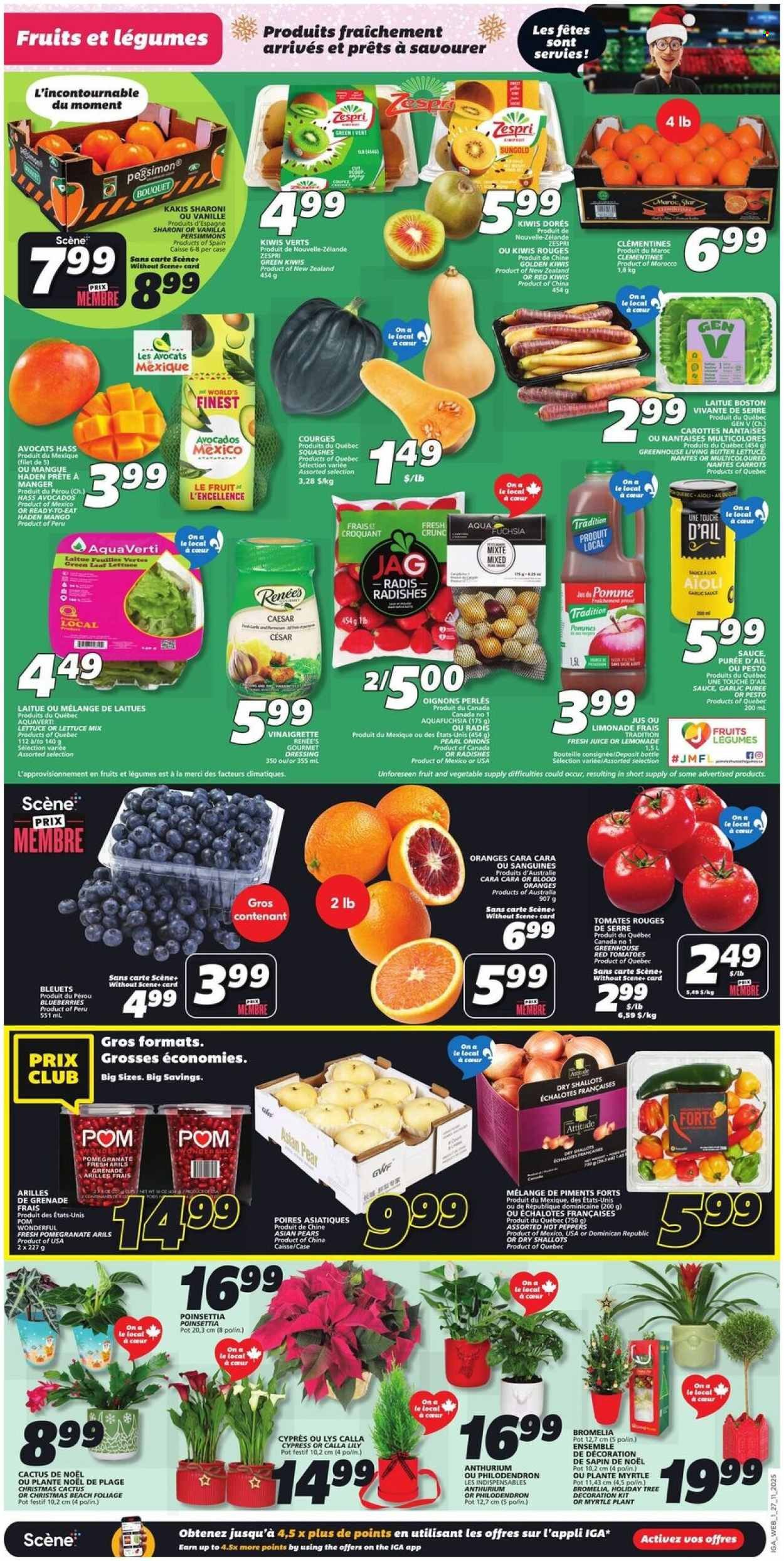 IGA flyer - Weekly eFlyer (2025-11-27 - 2025-12-03) | 4