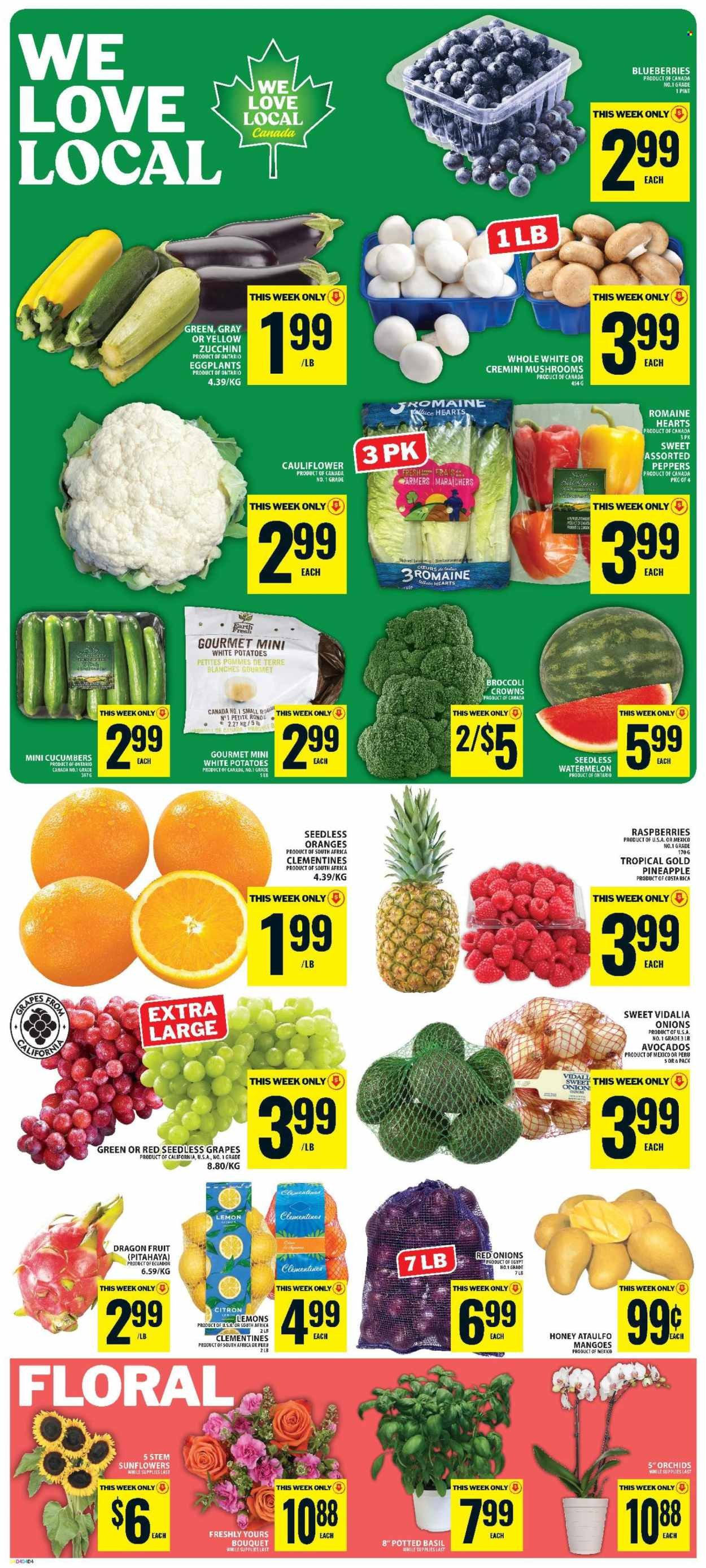 FOOD BASICS flyer - Weekly Flyer