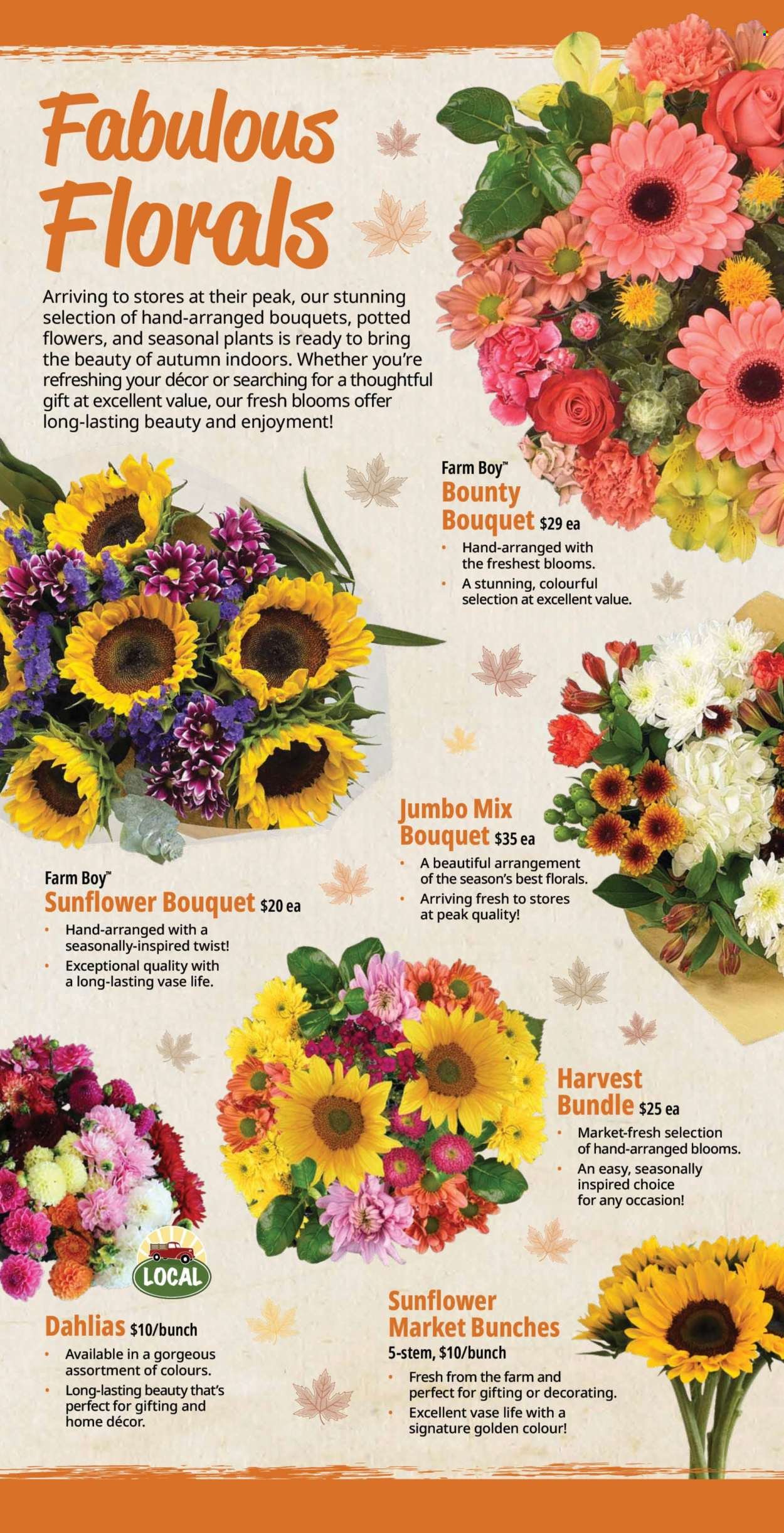 FARM BOY flyer - Weekly Flyer