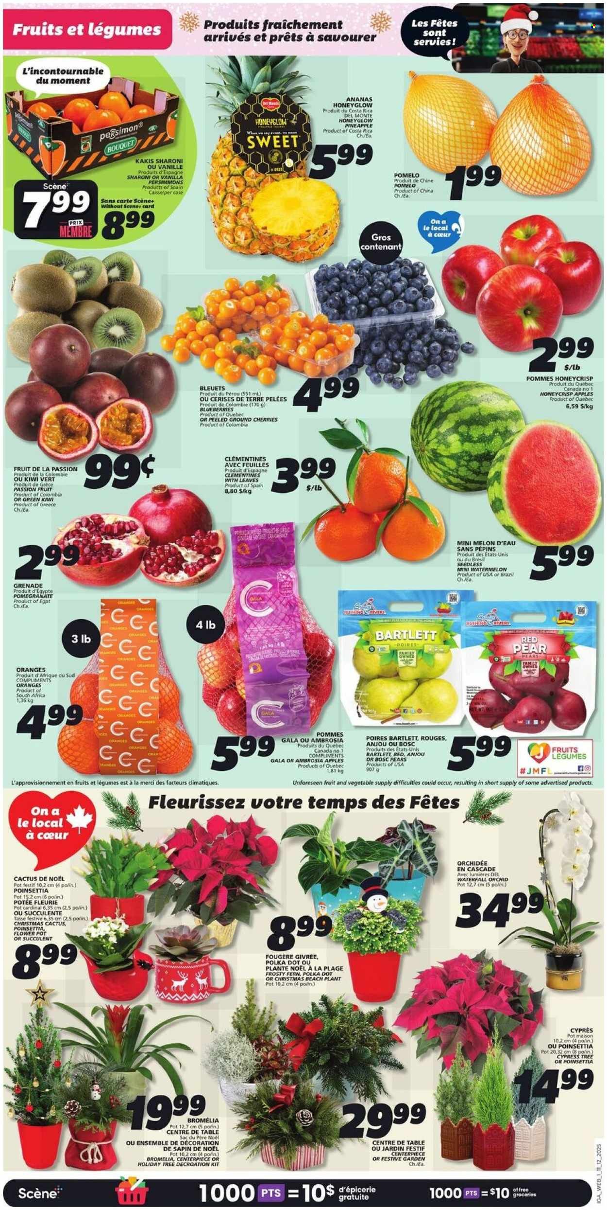 IGA flyer - Weekly eFlyer (2025-12-11 - 2025-12-17) | 5