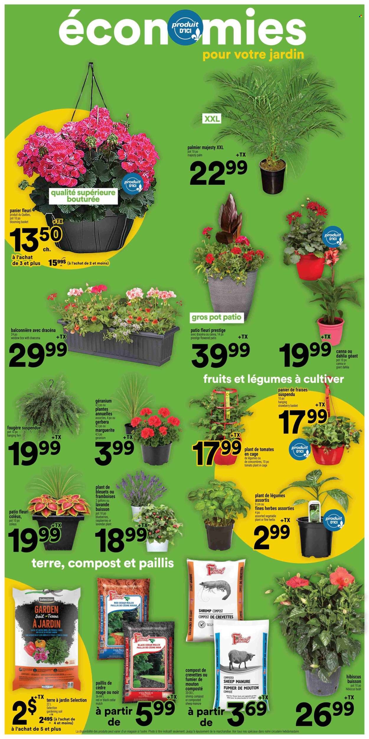 SUPER C flyer - Weekly Flyer