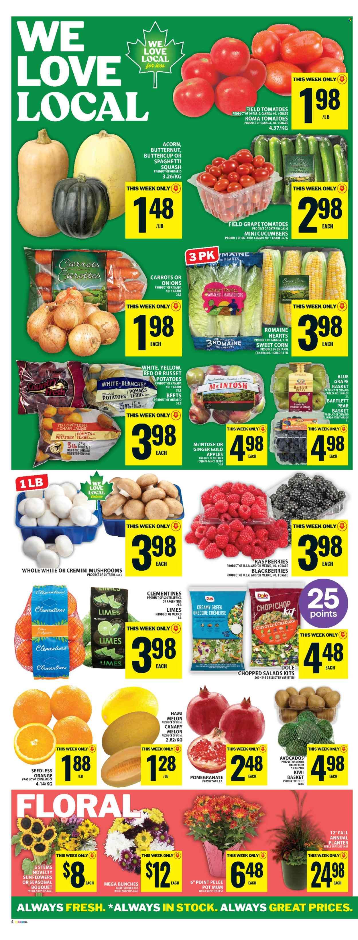 FOOD BASICS flyer - Weekly Flyer