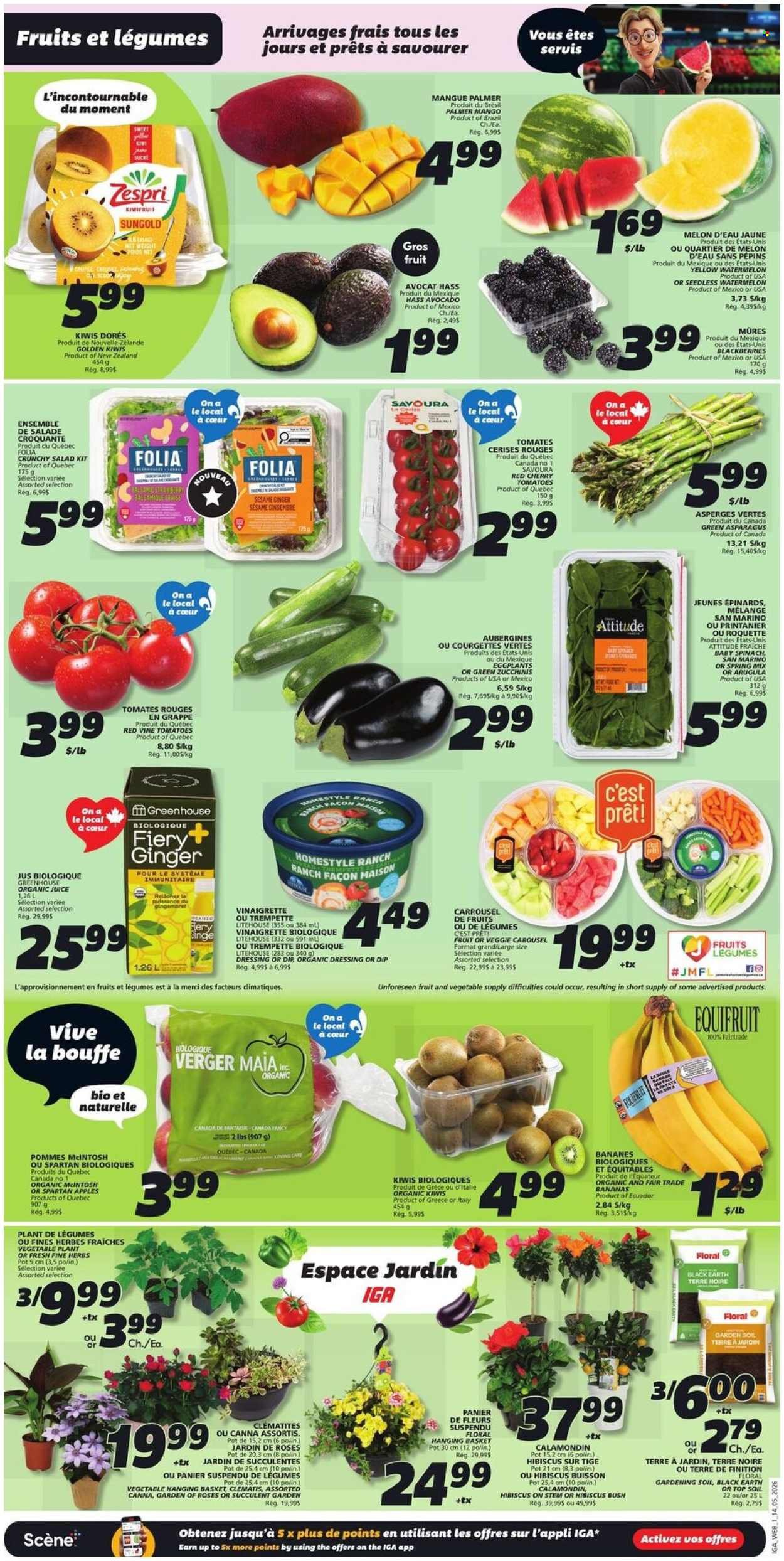 IGA flyer - Weekly eFlyer