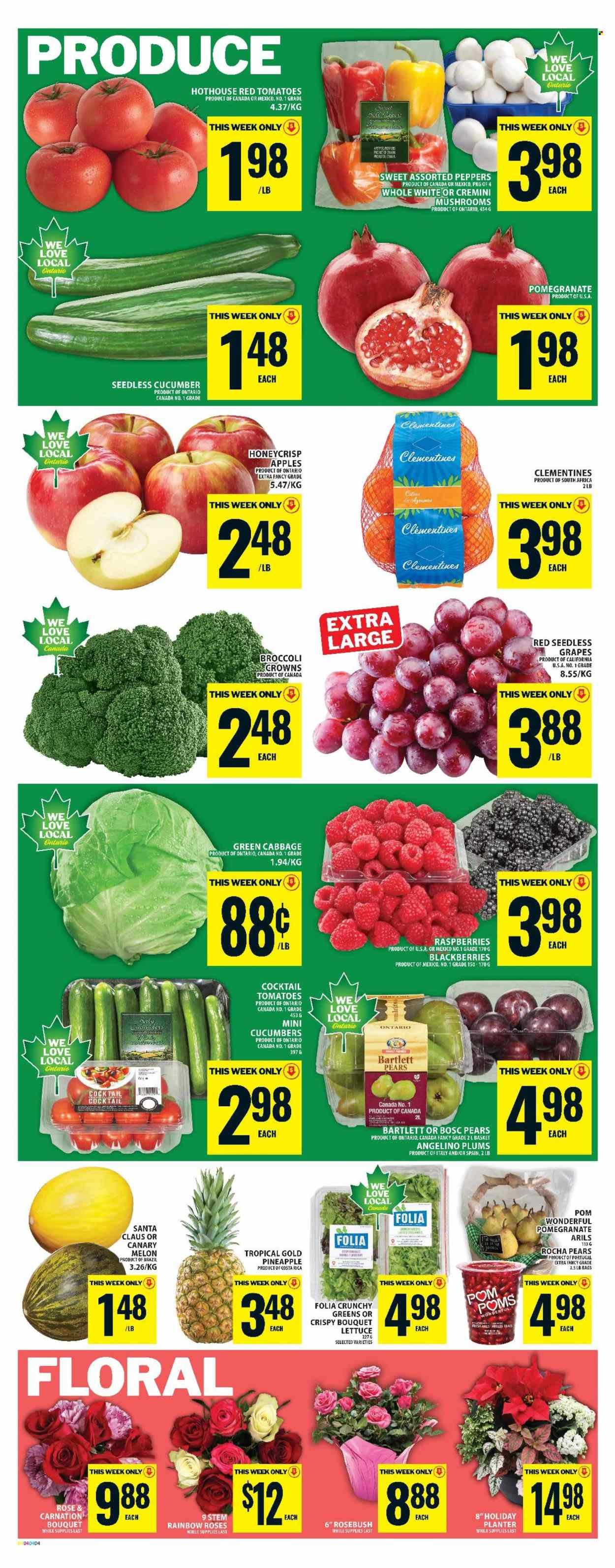 FOOD BASICS flyer - Weekly Flyer (2025-11-20 - 2025-11-26) | 7