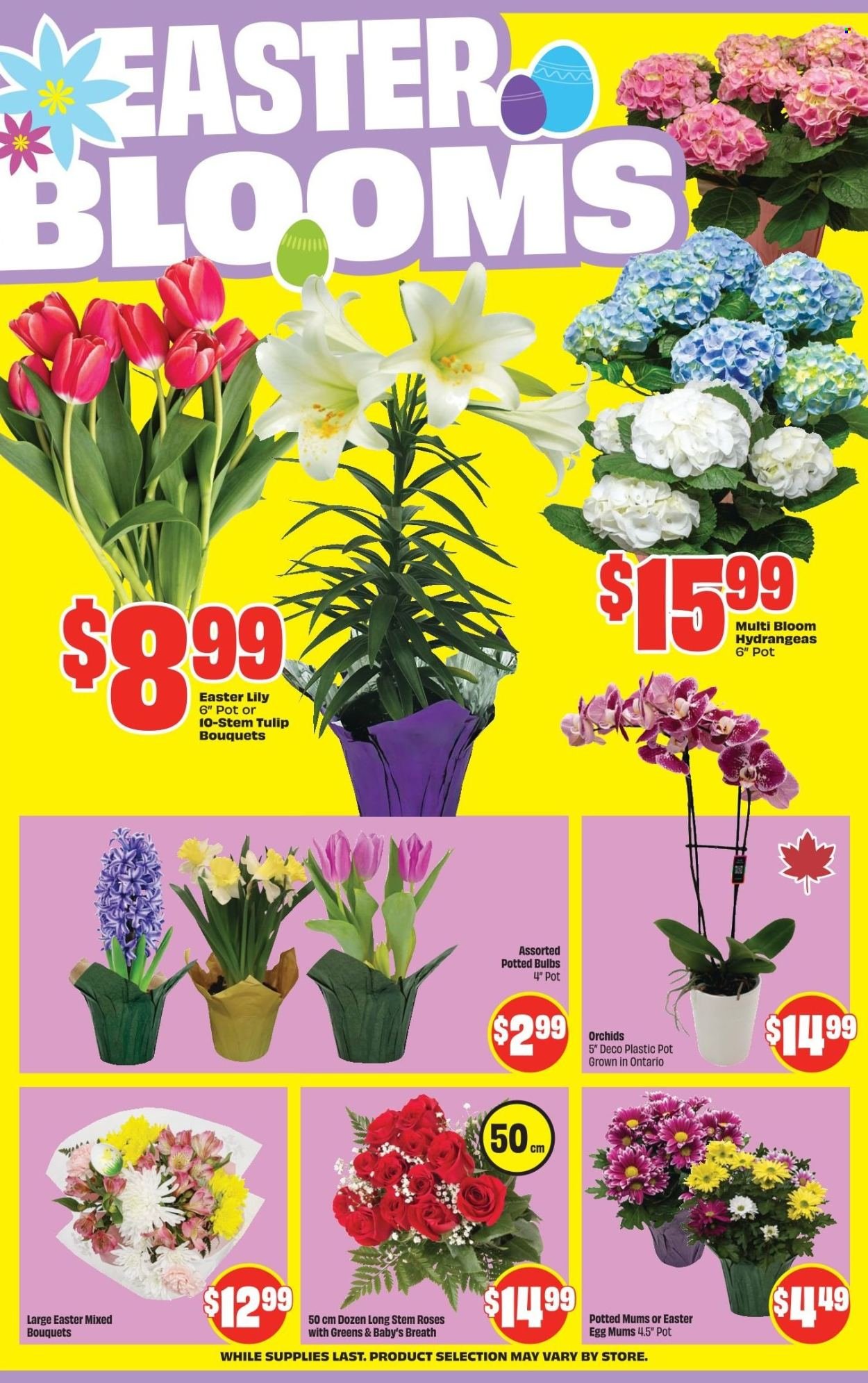 FRESHCO. flyer - Weekly eFlyer (2026-04-02 - 2026-04-08) | 6