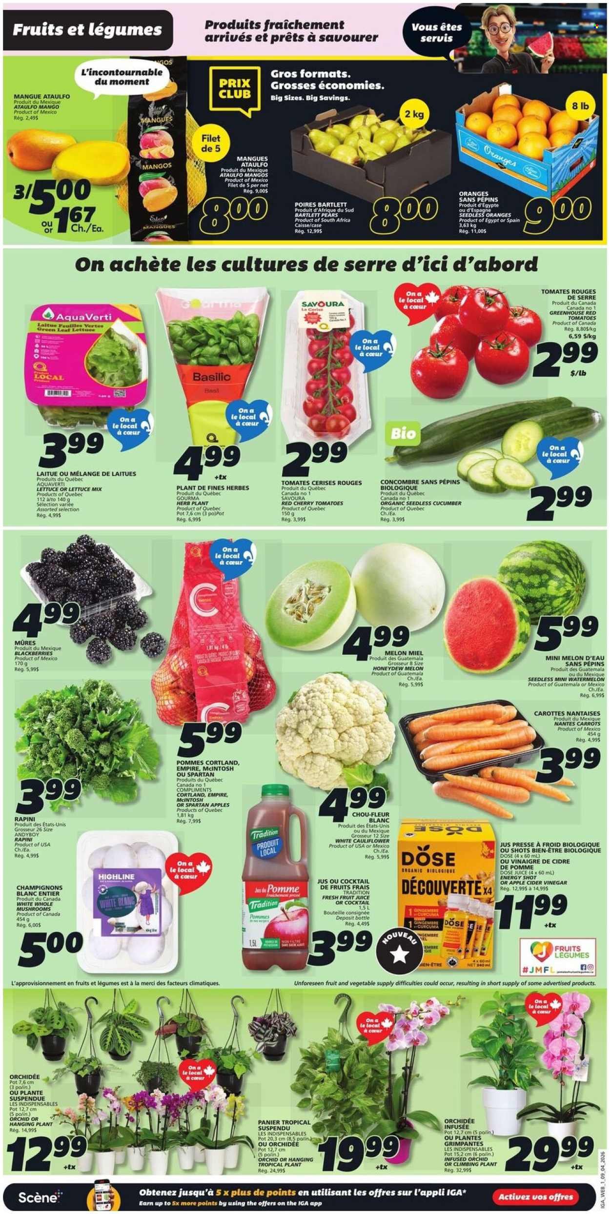 IGA flyer - Weekly eFlyer (2026-04-09 - 2026-04-15) | 3