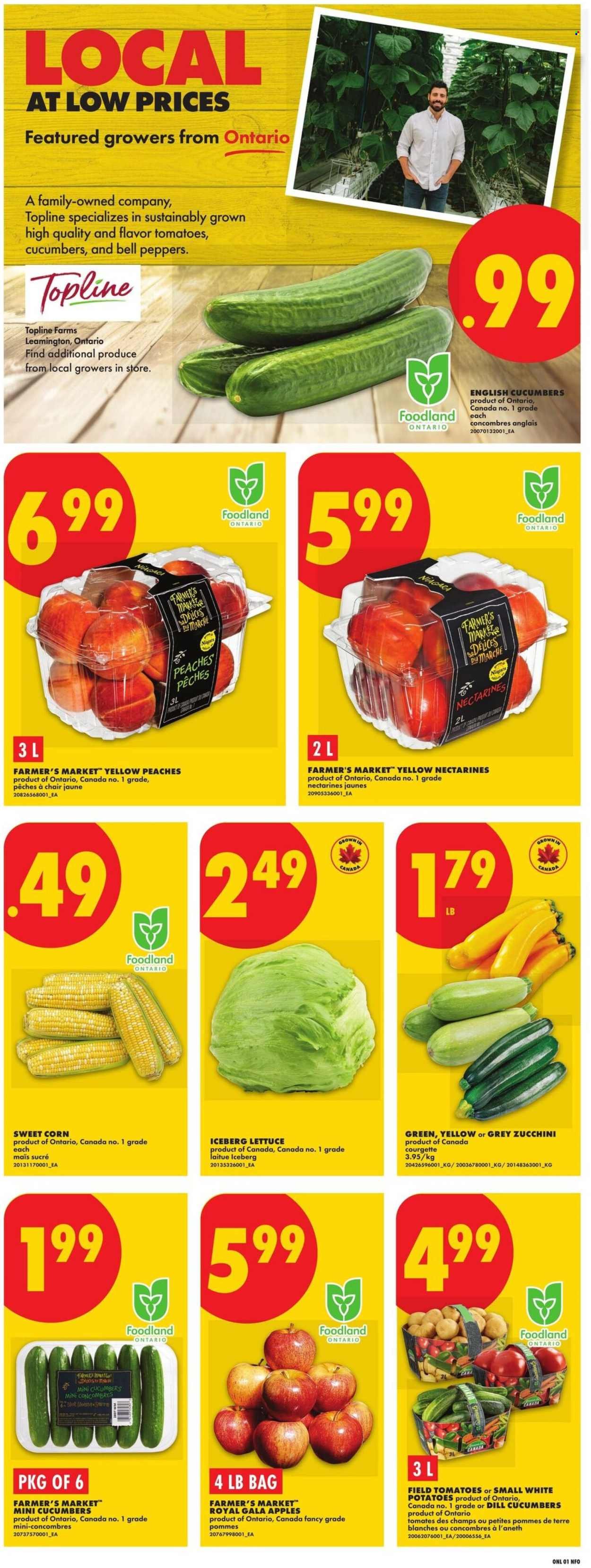 NO FRILLS flyer - Weekly Flyer