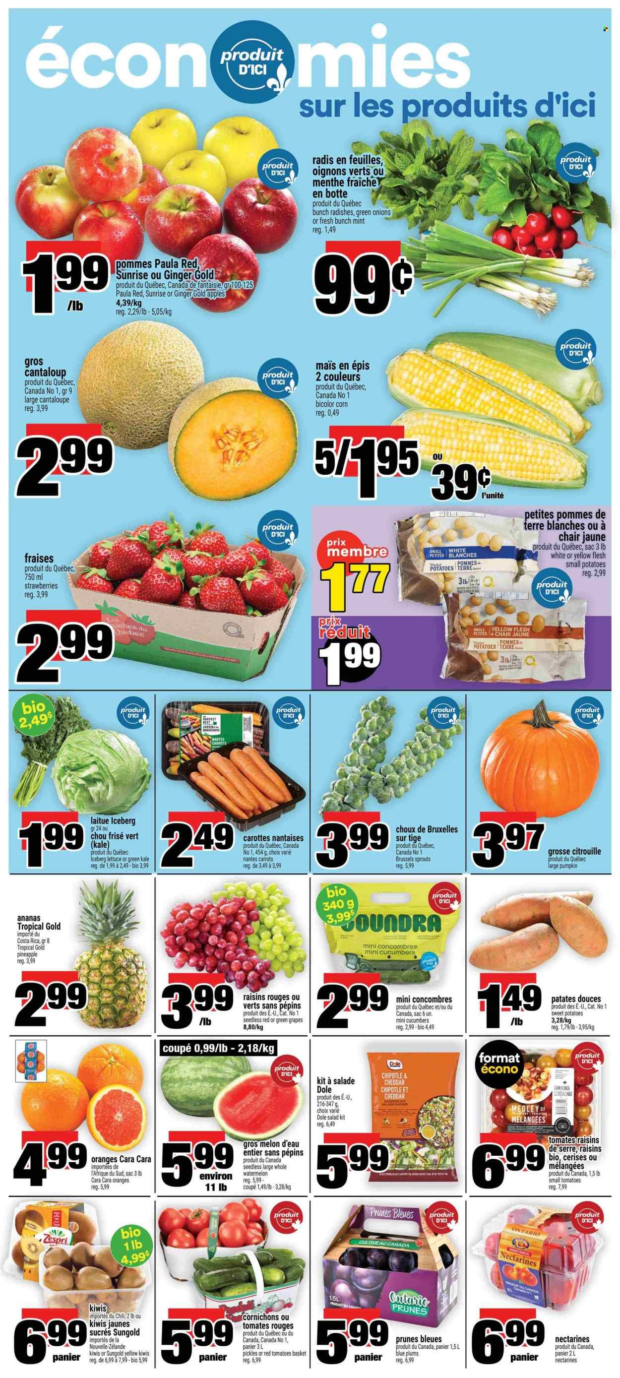 MAXI flyer - Weekly Flyer