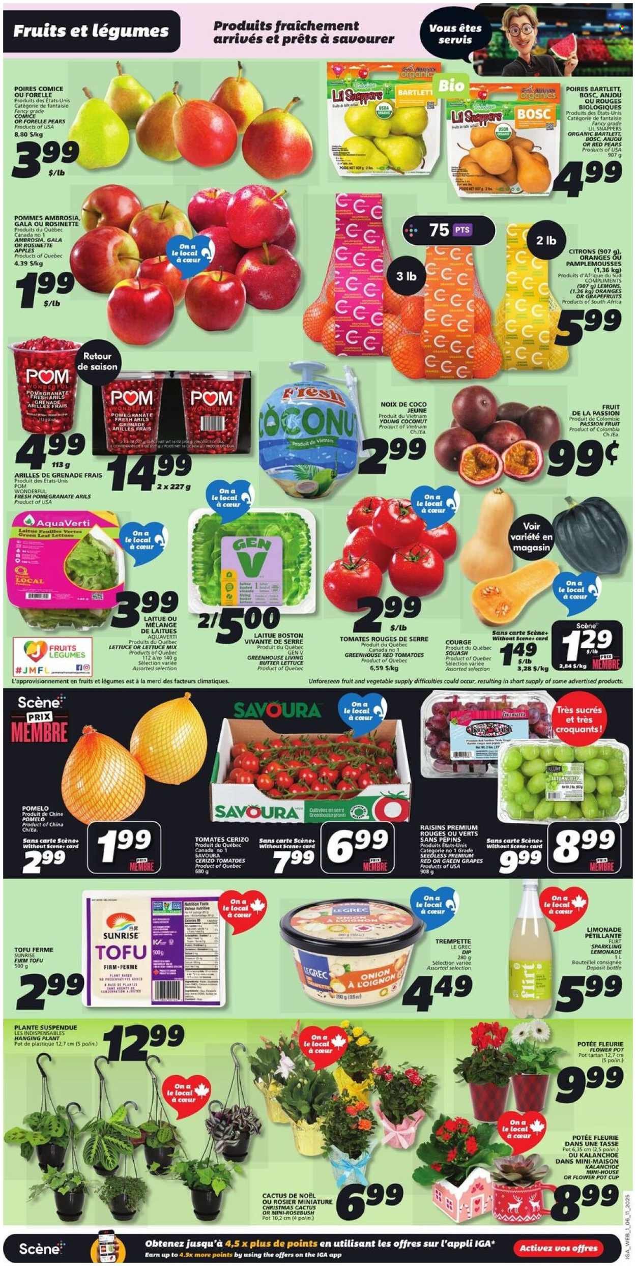 IGA flyer - Weekly eFlyer (2025-11-06 - 2025-11-12) | 3