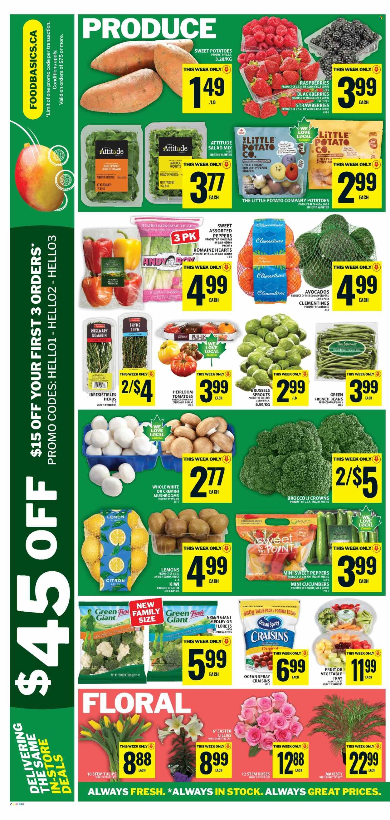 FOOD BASICS flyer - Weekly Flyer
