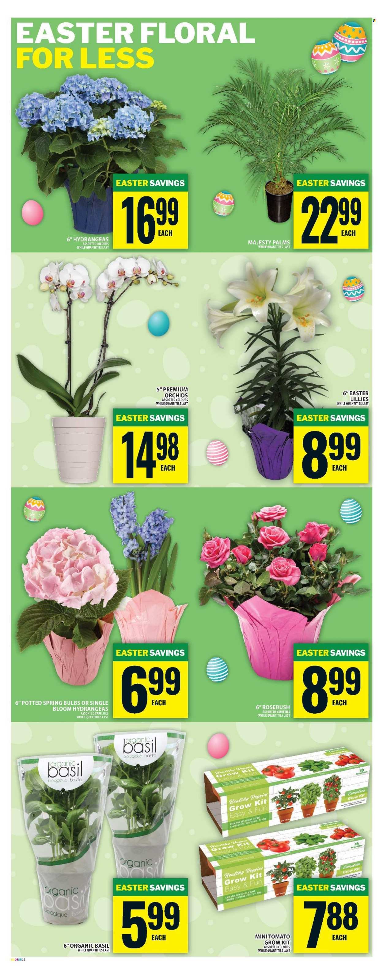 FOOD BASICS flyer - Weekly Flyer