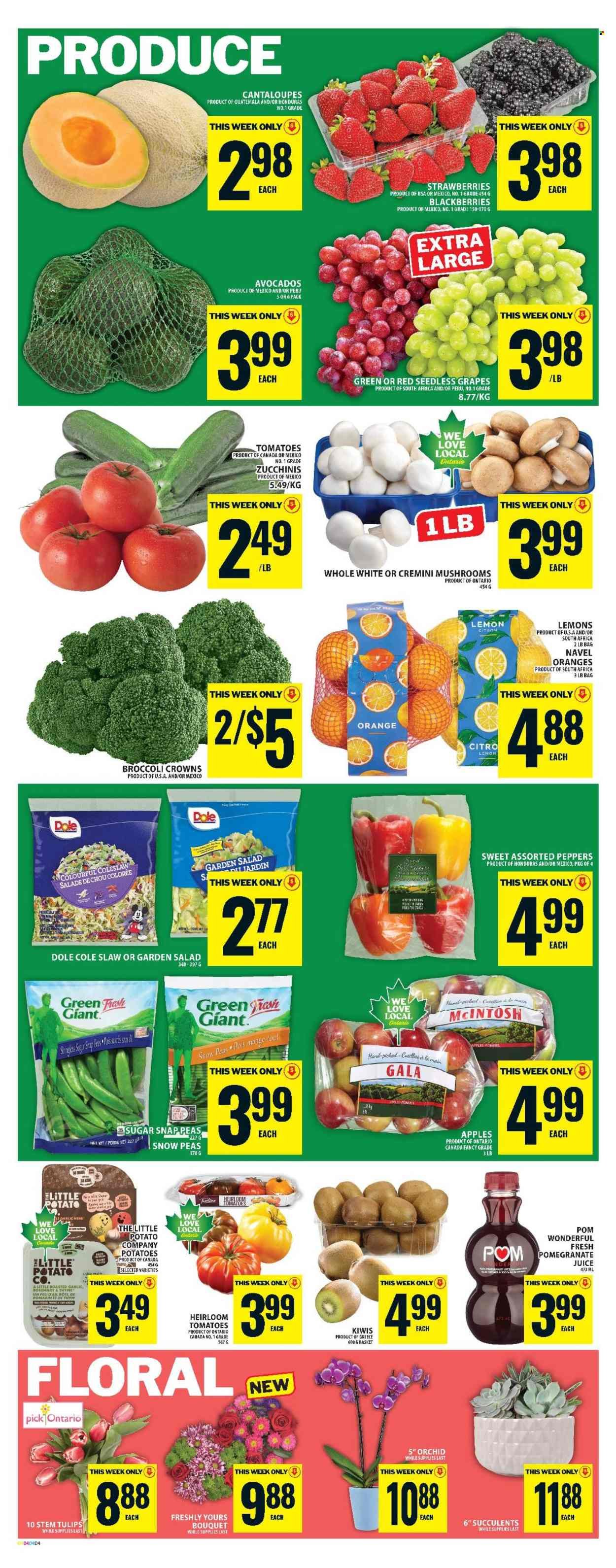 FOOD BASICS flyer - Weekly Flyer (2026-02-26 - 2026-03-04) | 7