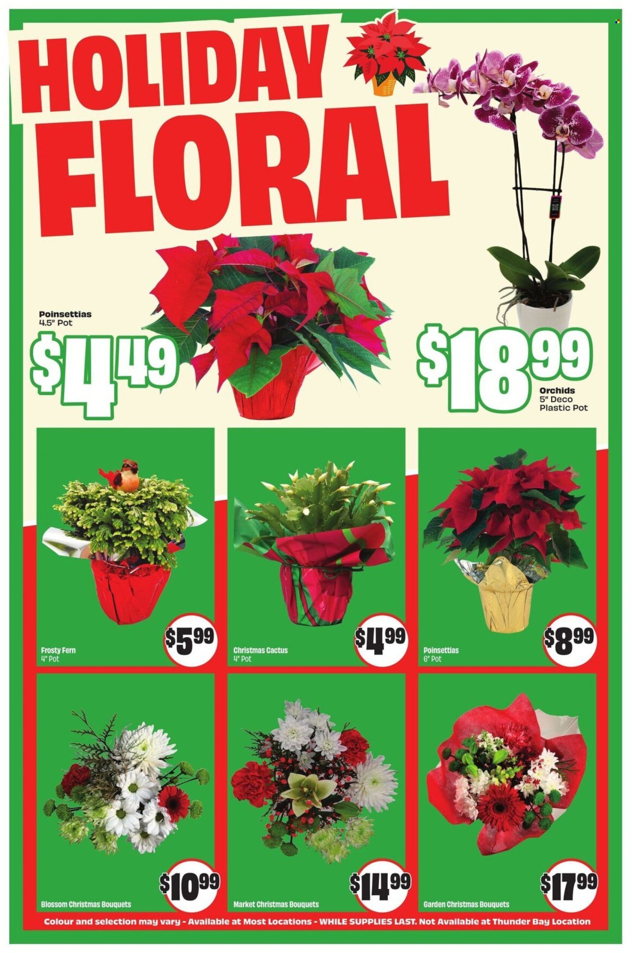 FRESHCO. flyer - Weekly eFlyer (2025-12-11 - 2025-12-17) | 6