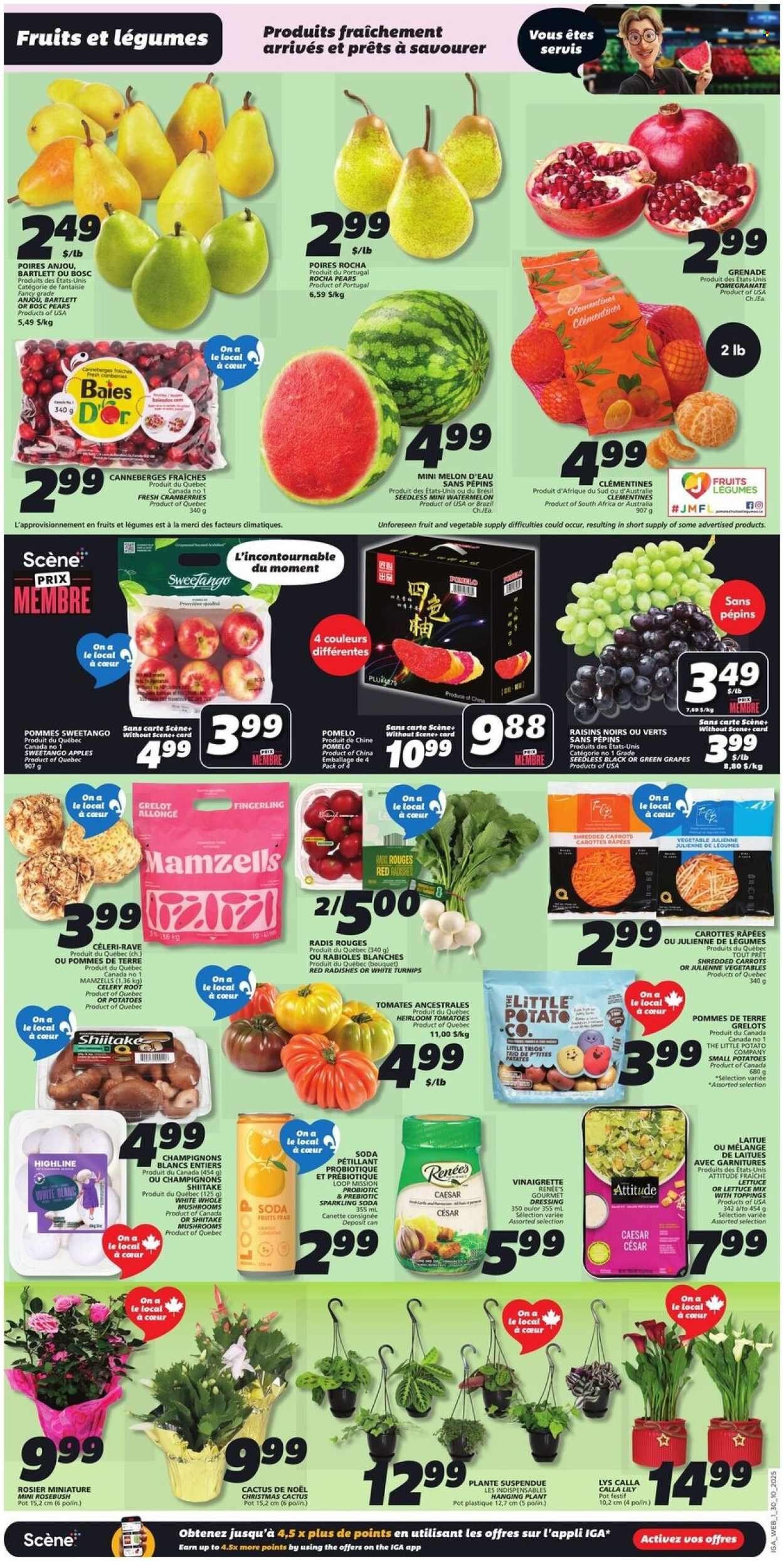IGA flyer - Weekly eFlyer (2025-10-30 - 2025-11-05) | 3