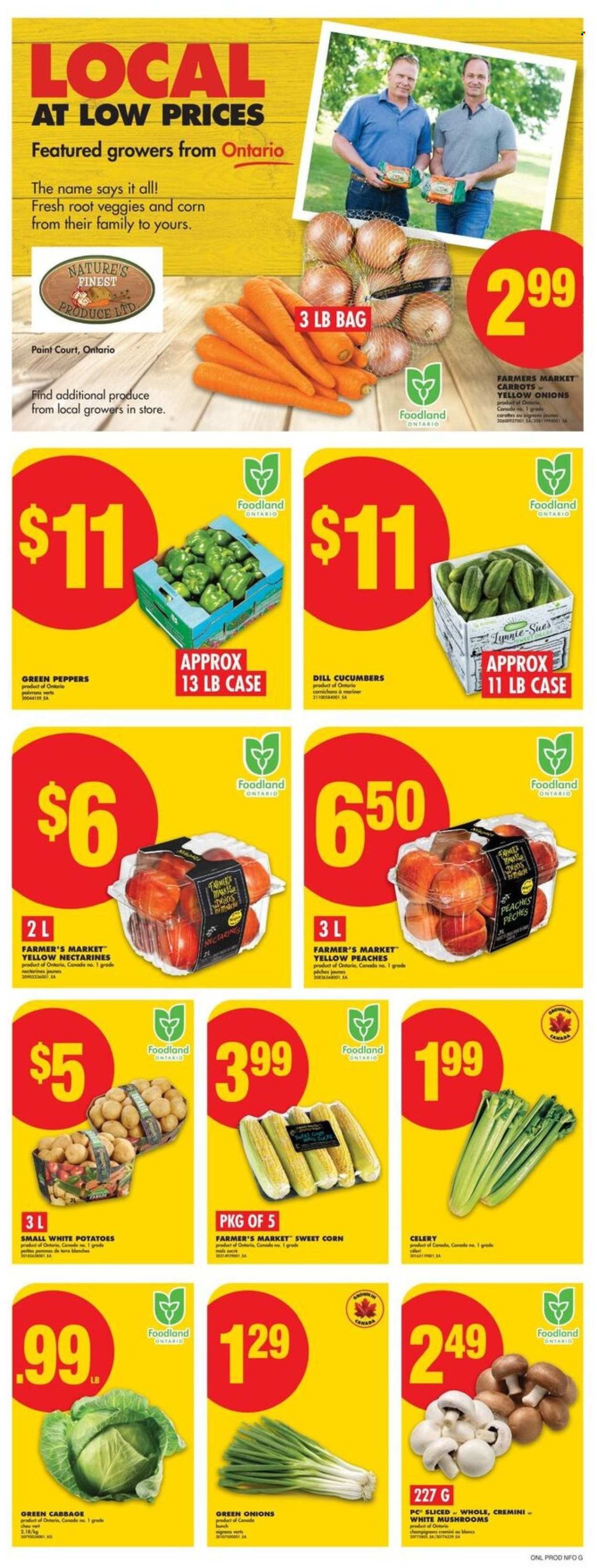 NO FRILLS flyer - Weekly Flyer