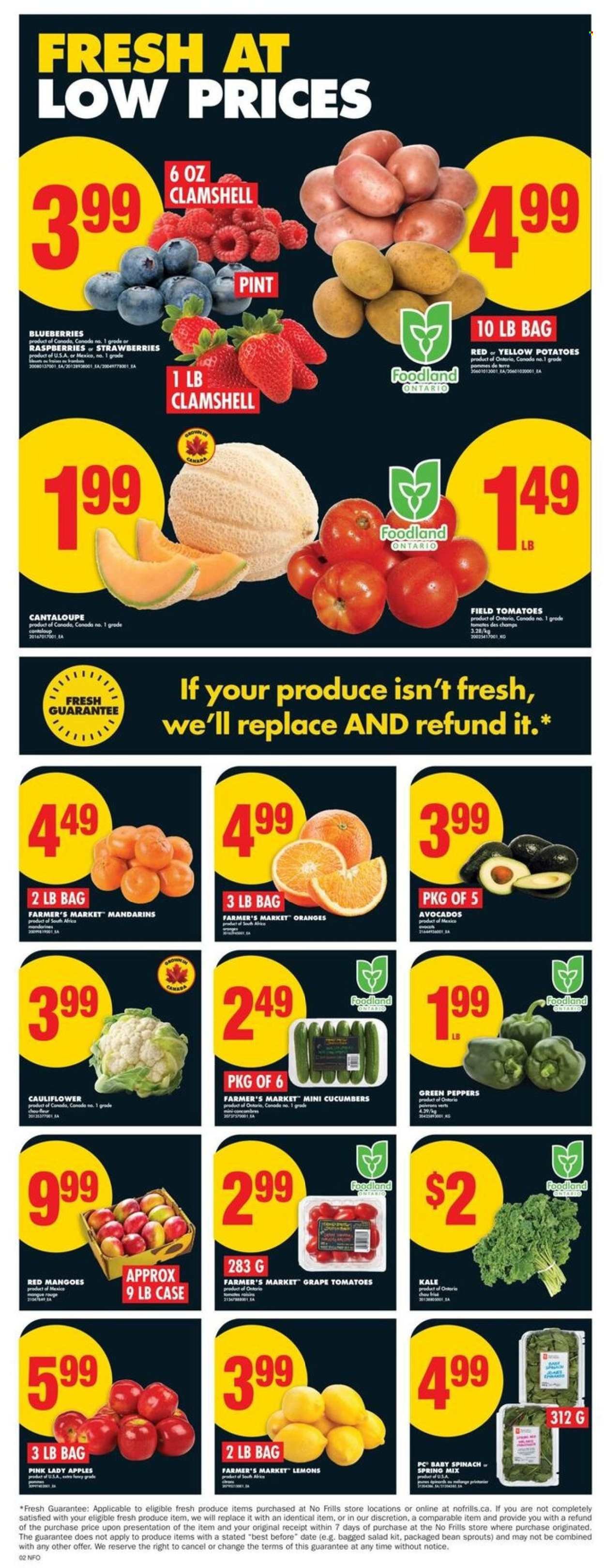 NO FRILLS flyer - Weekly Flyer