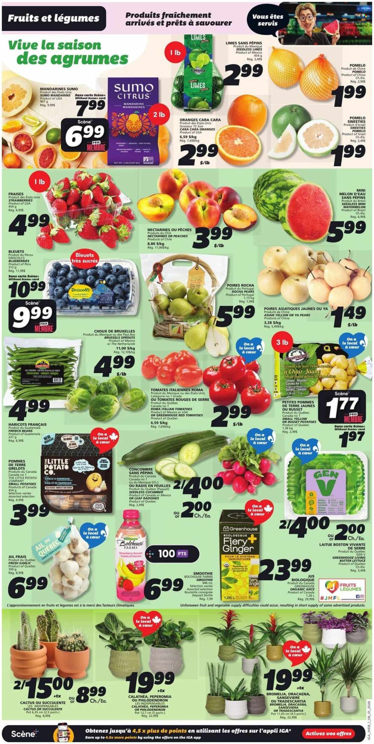 IGA flyer - Weekly eFlyer